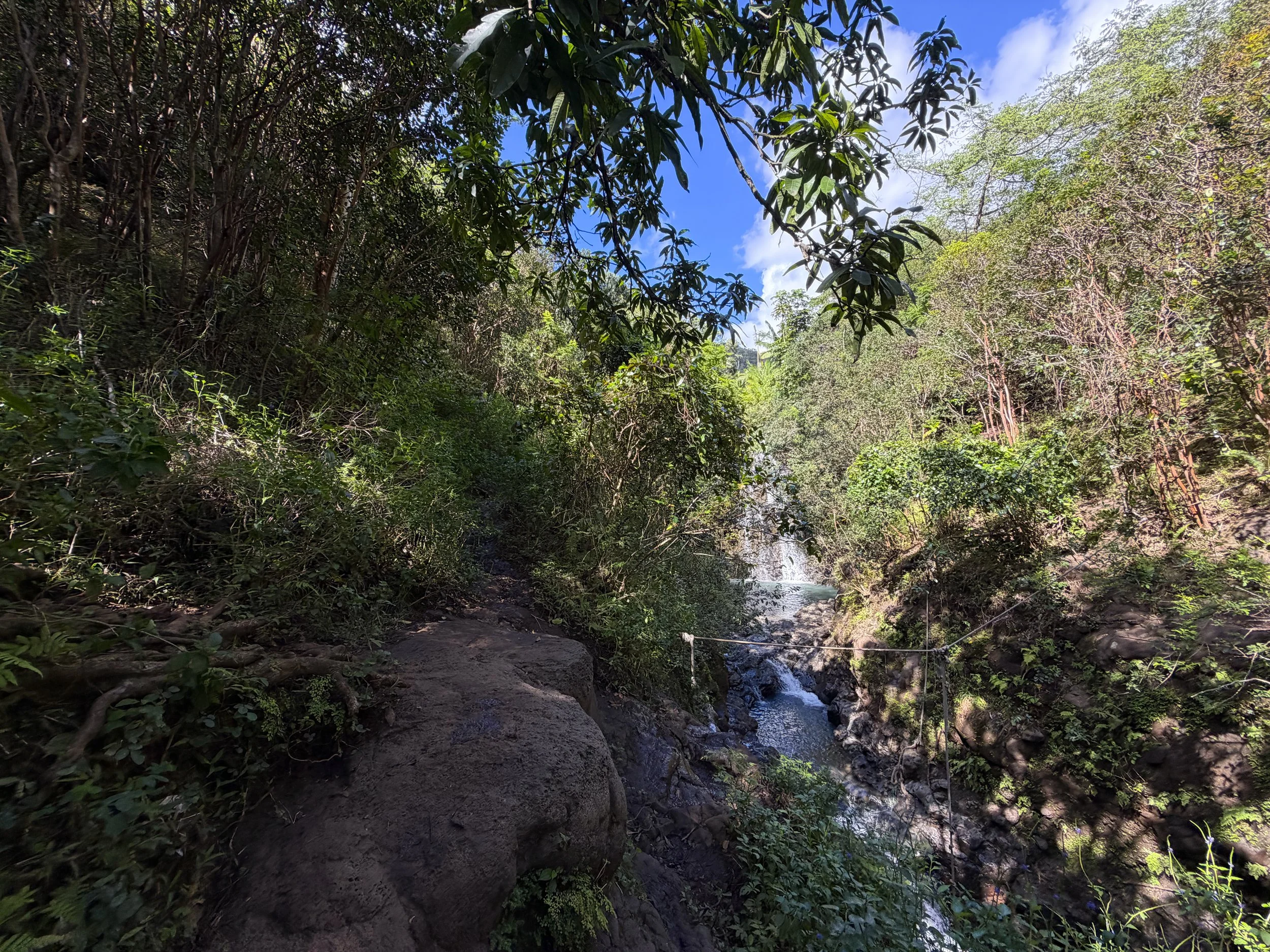 Waimano Falls Trail Oahu Hawaii