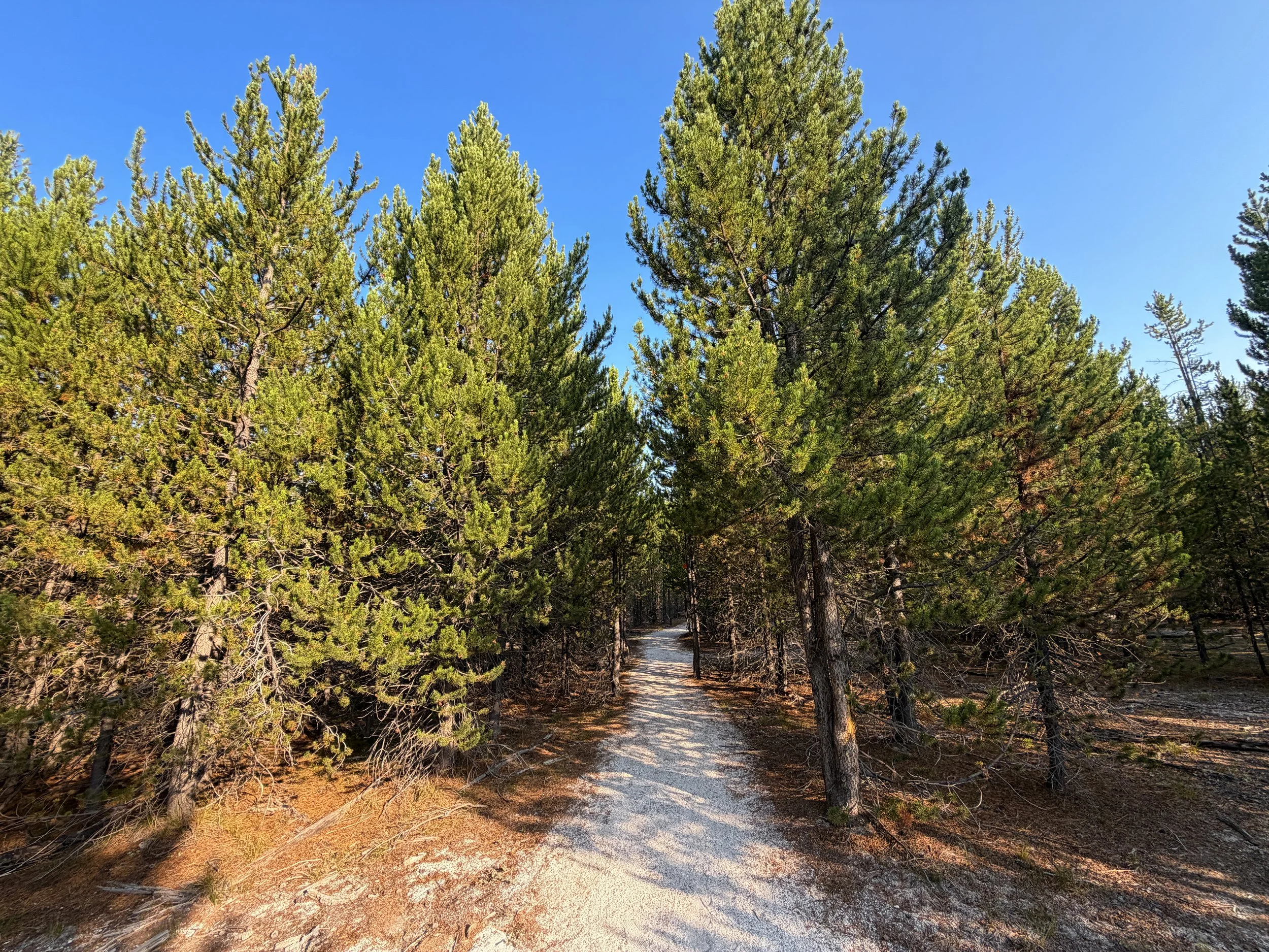 Mystic Falls Trail Yellowstone National Park Wyoming