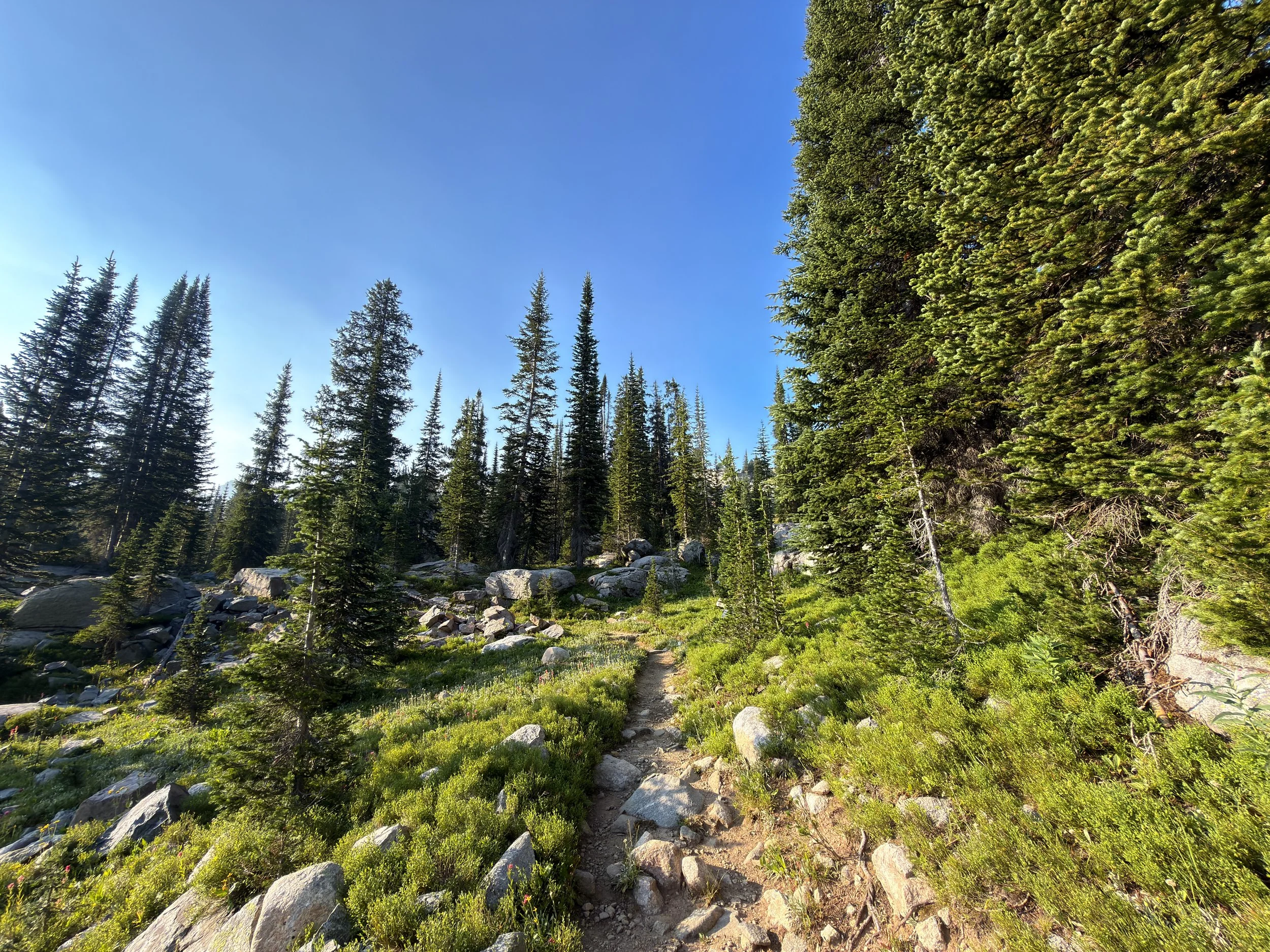 Beaten Path Trail Beartooth Mountains Montana