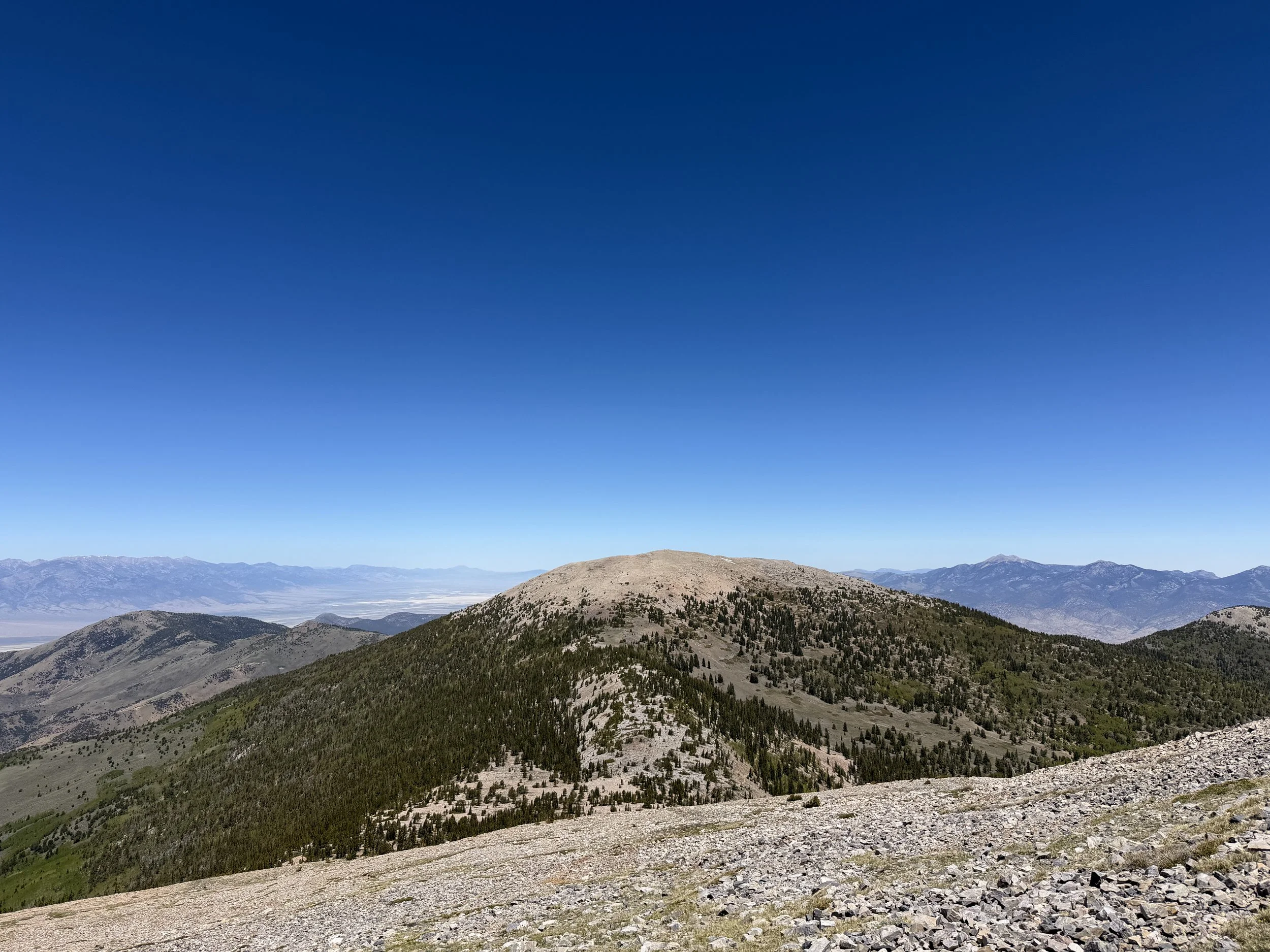 Wheeler Peak Summit Trail Great Basin National Park Nevada