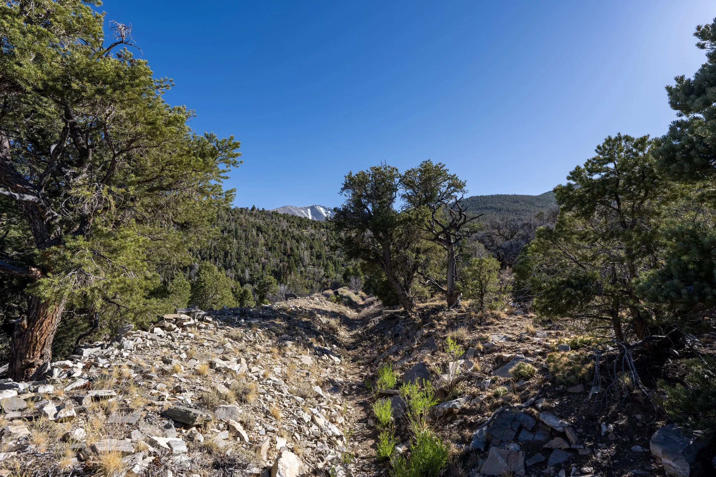 Osceola Ditch