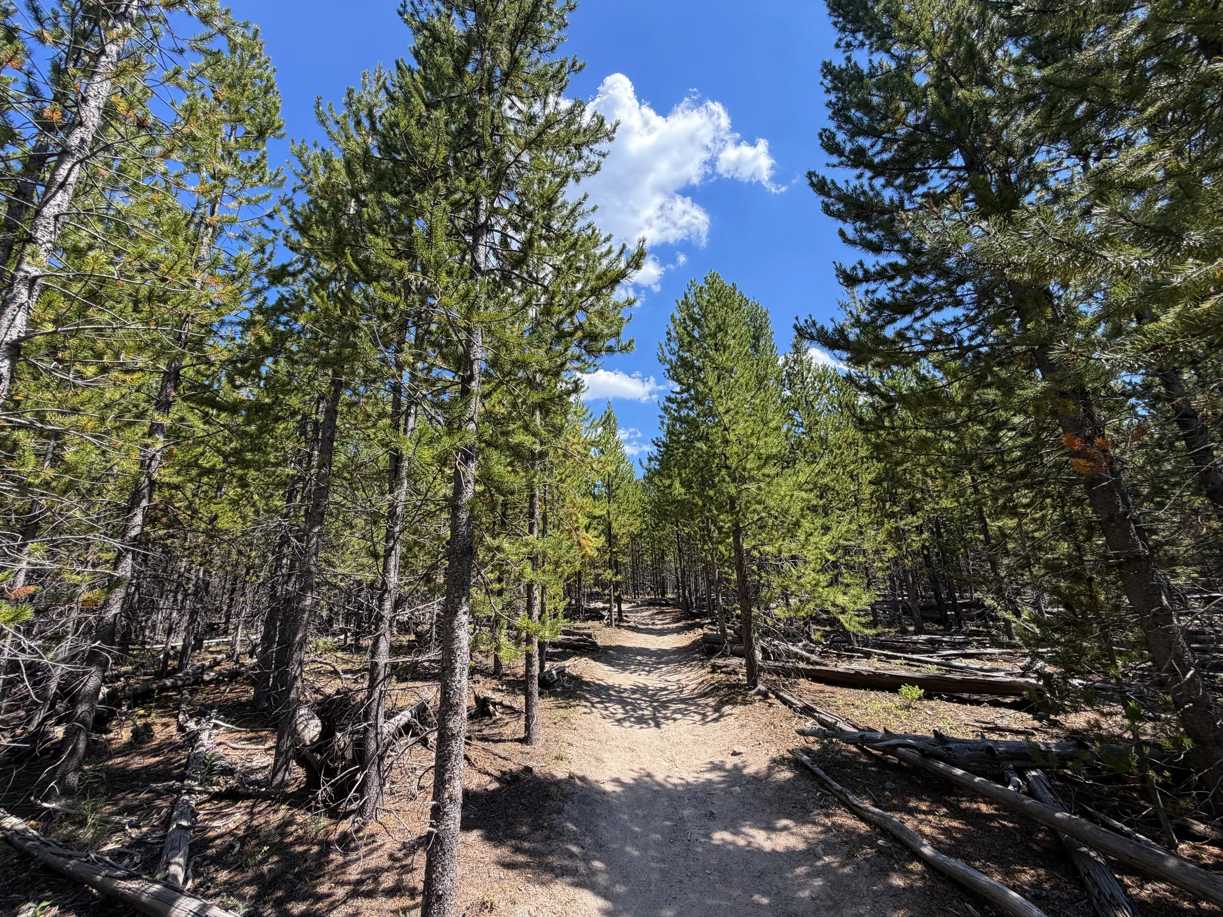 Bunsen Peak Trail Yellowstone National Park Wyoming