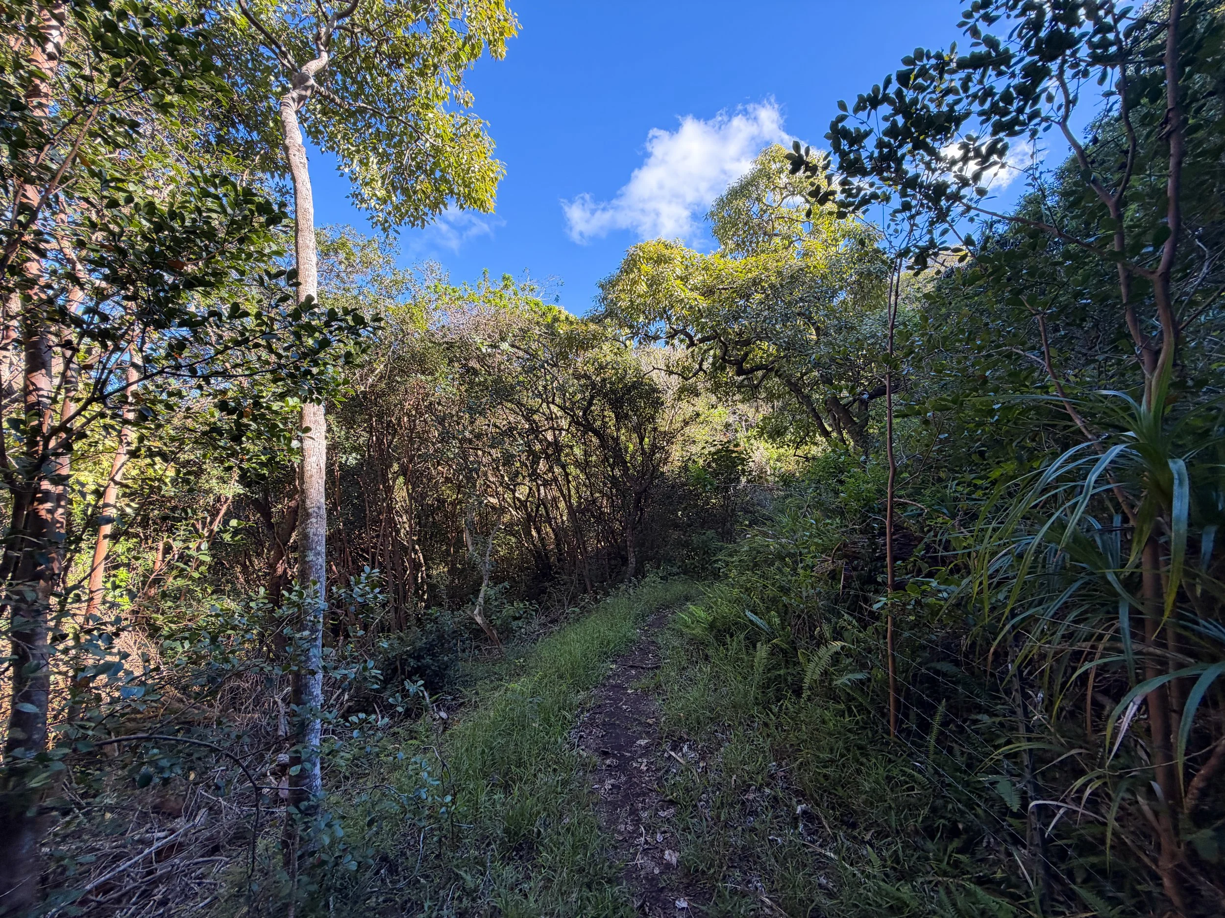 Mokuleia Hike Oahu Hawaii