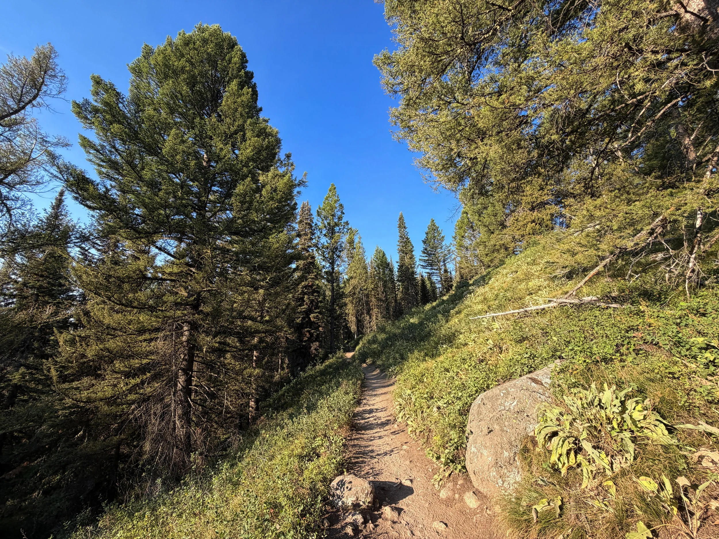 Delta Lake Trail via Lupine Meadows Grand Teton National Park Wyoming