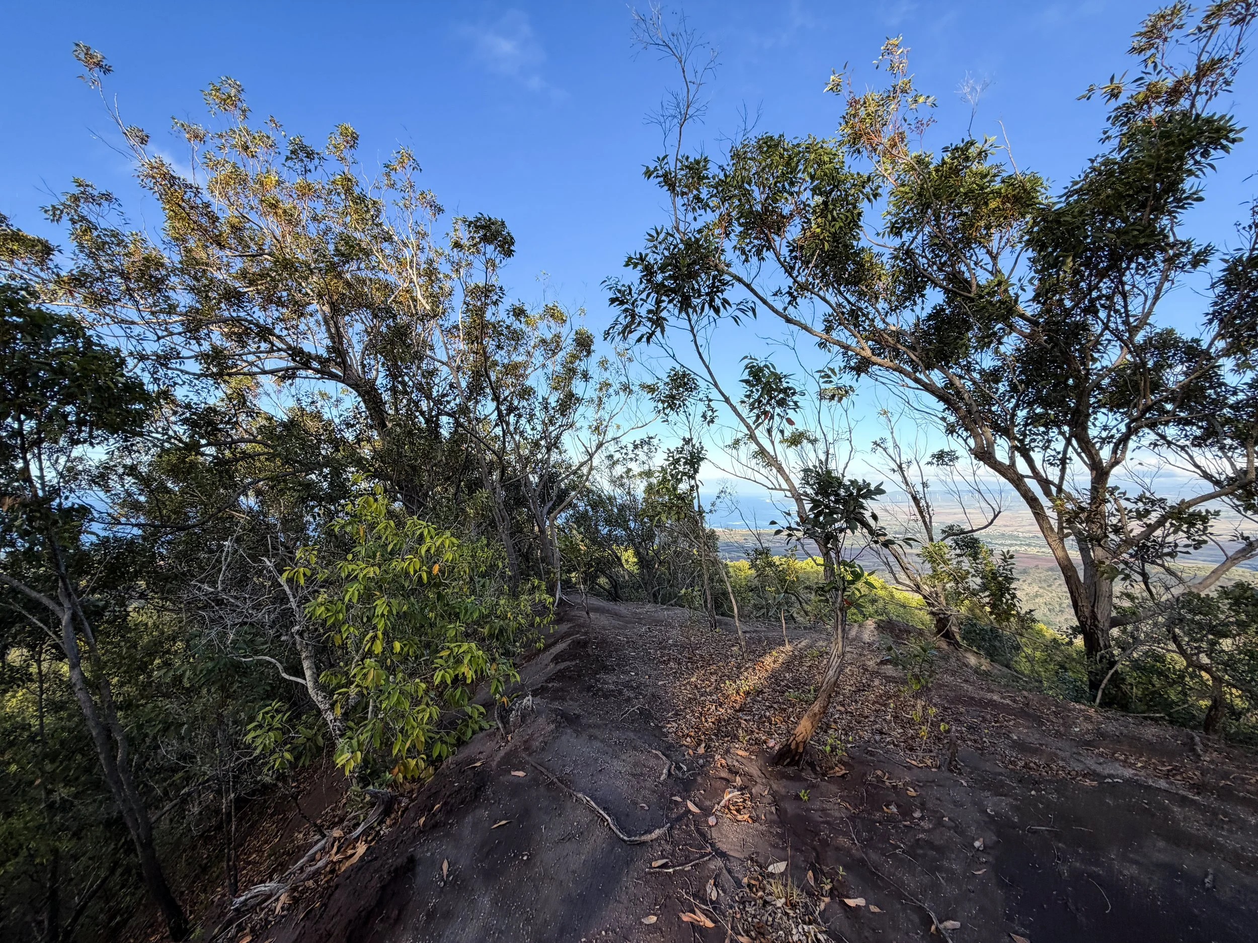 Mokuleia Trail Oahu Hawaii
