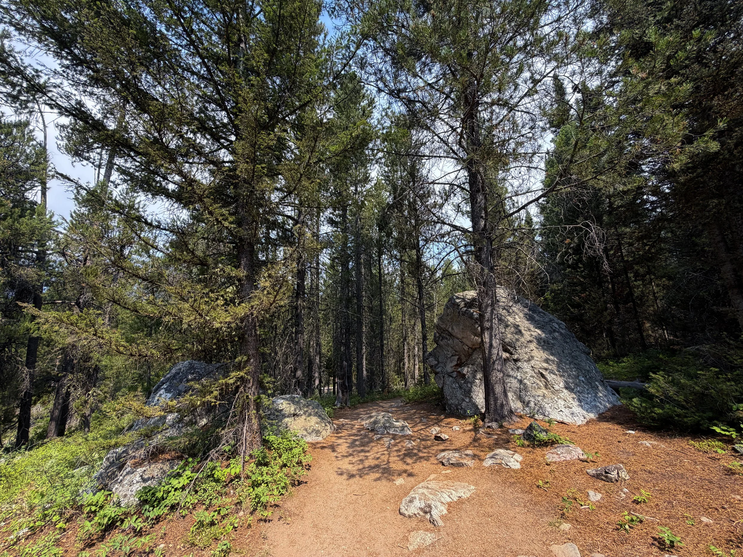 Phelps Lake Loop Hike Grand Teton National Park Wyoming