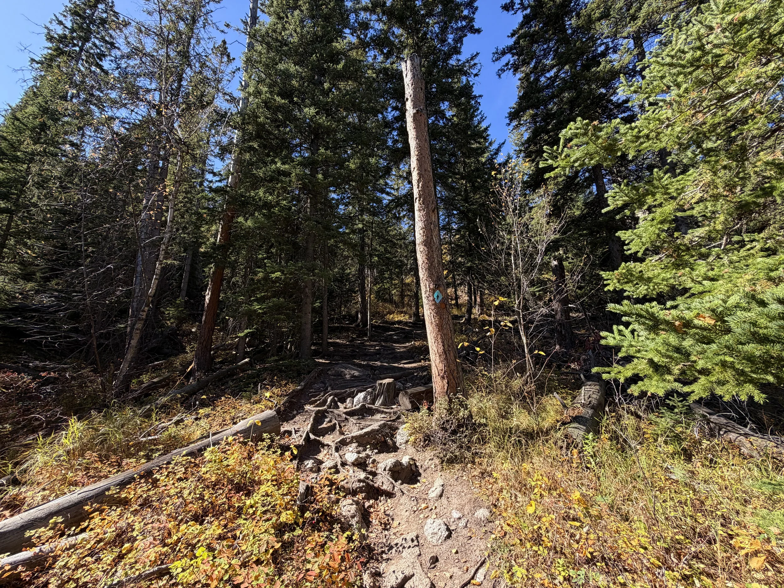 Sunday Gulch Trail Custer State Park Black Hills South Dakota