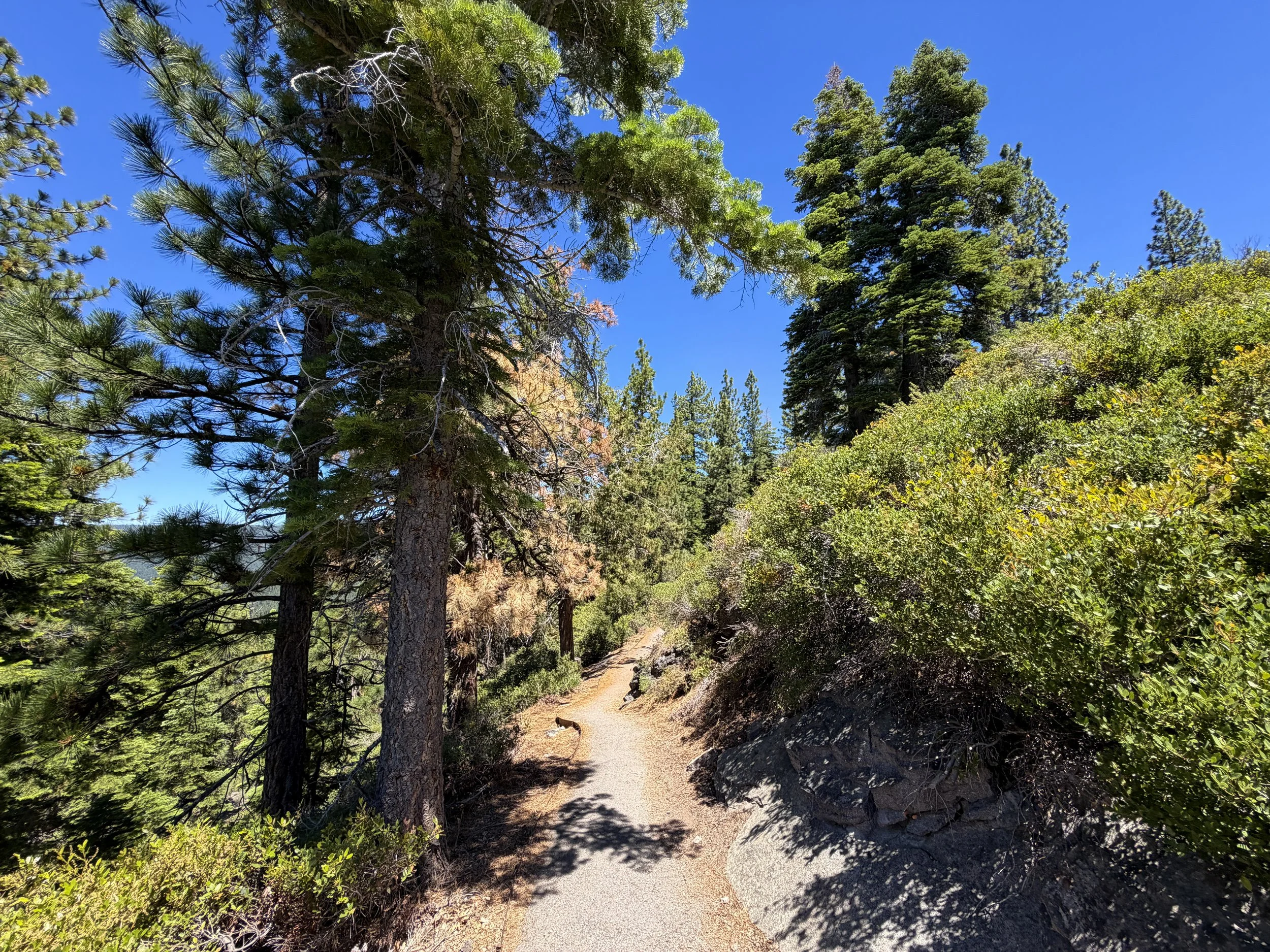 Stateline Fire Lookout Trail Lake Tahoe California