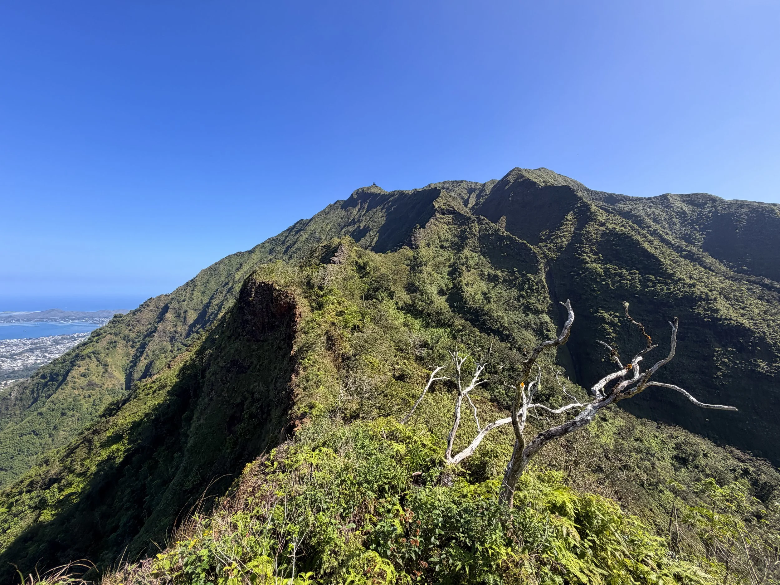 Moanalua Saddle Koolau Summit Trail Oahu Hawaii