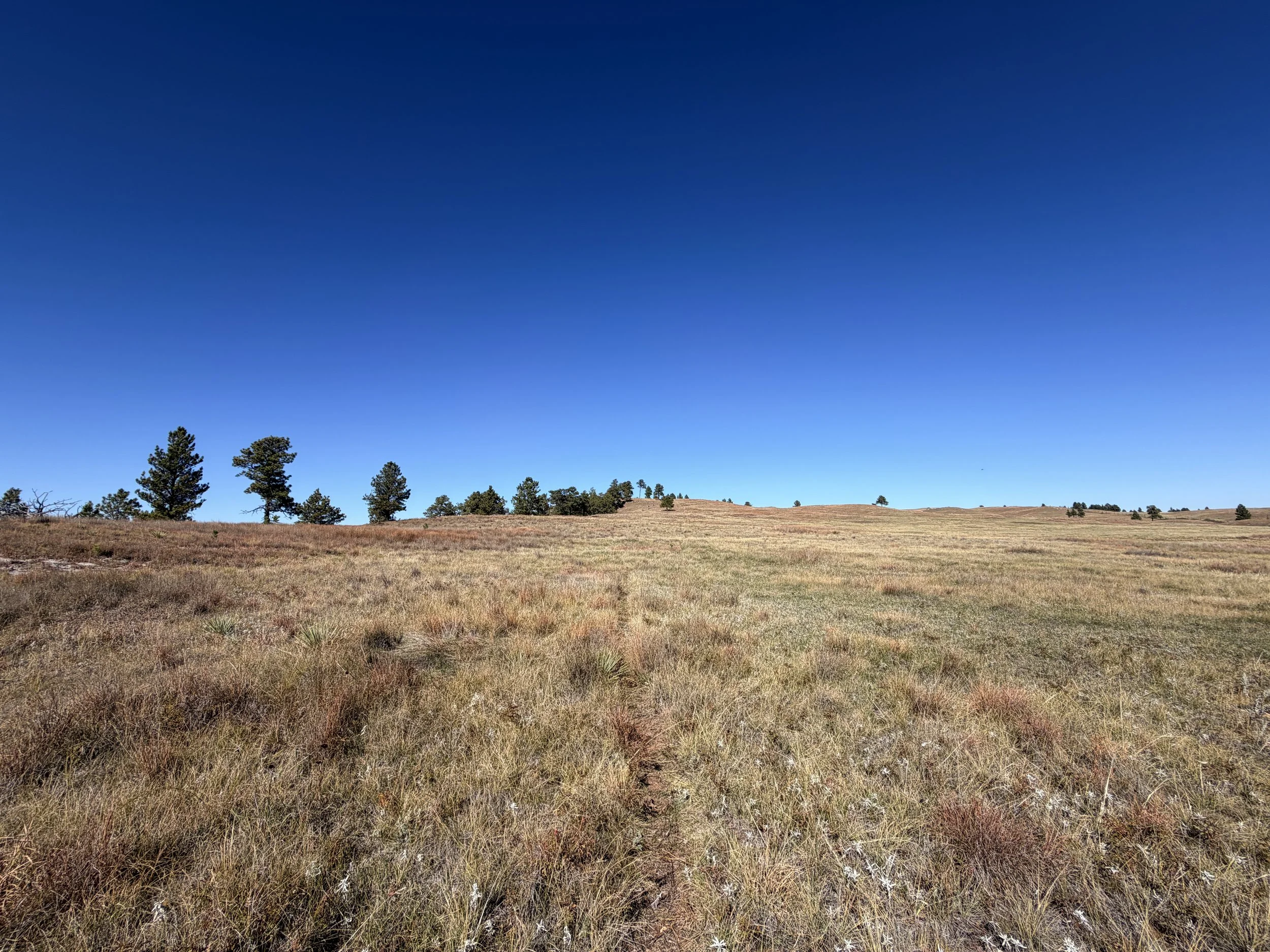 East Bison Flats Trail Wind Cave National Park South Dakota