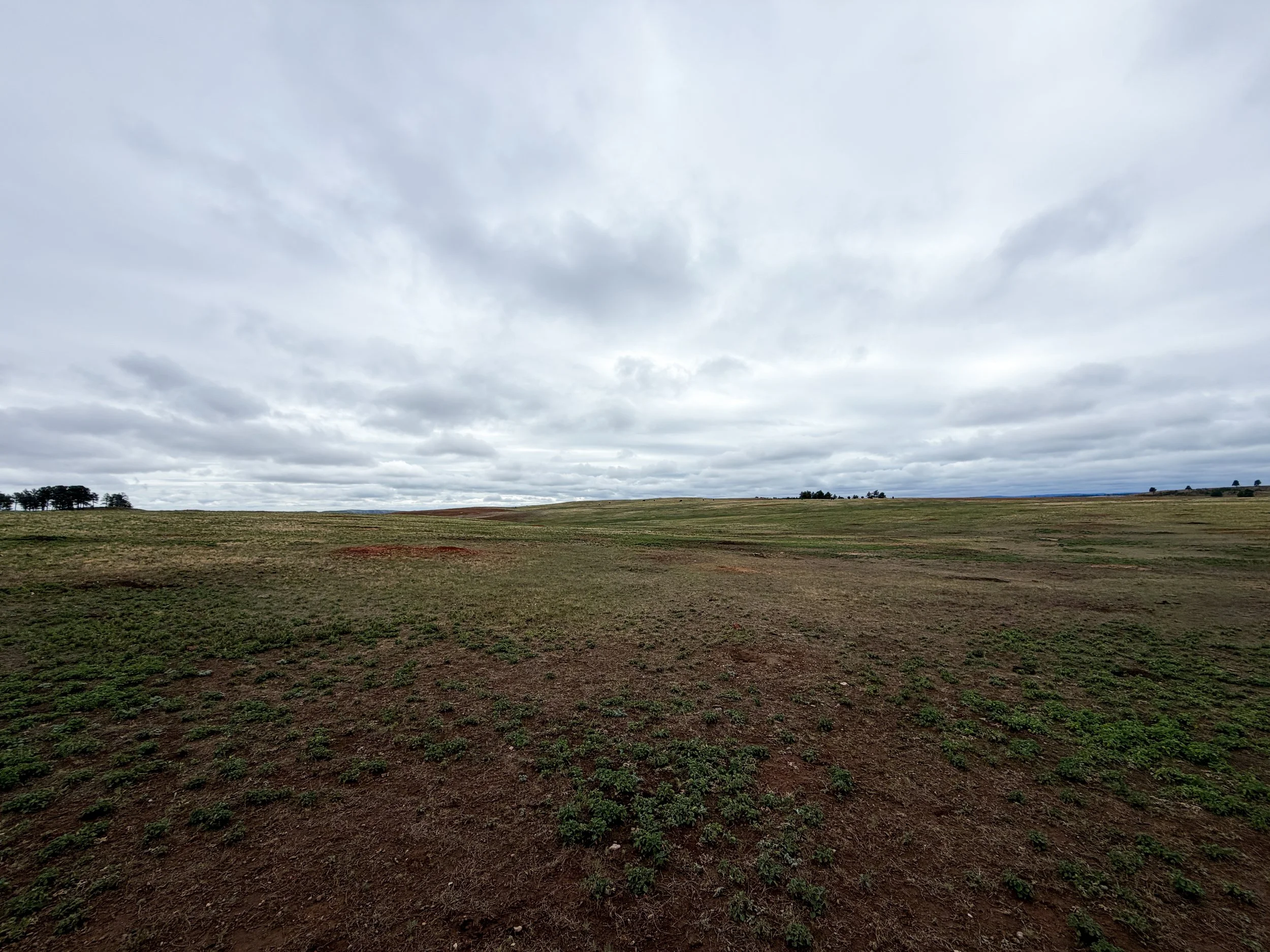 Highland Creek Trail Wind Cave National Park South Dakota