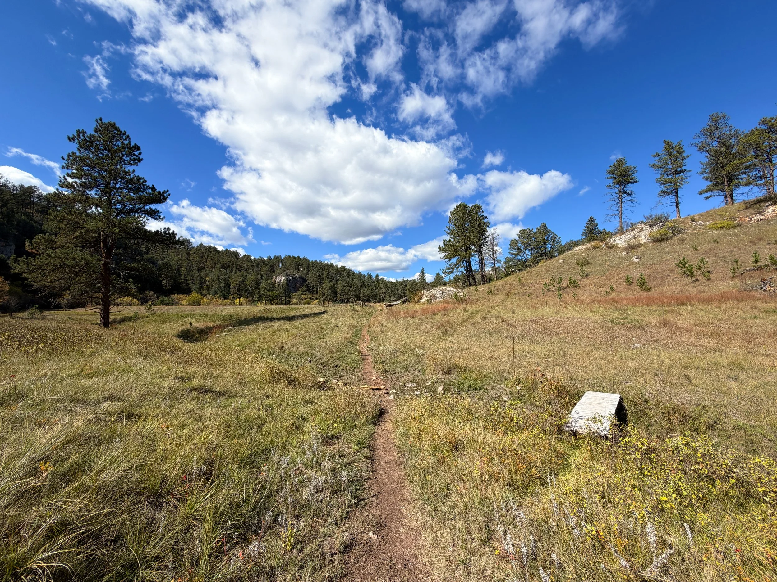 Lookout Point Loop Trail Wind Cave National Park South Dakota