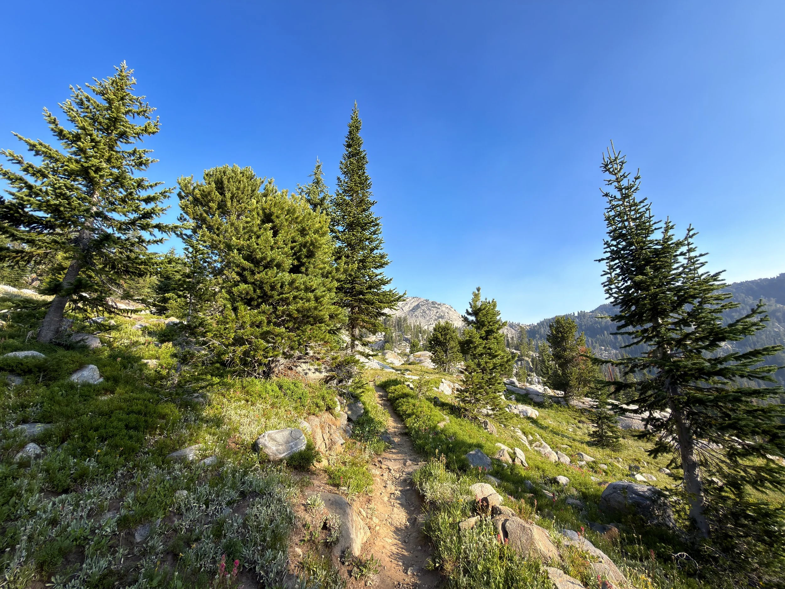 Beaten Path Trail Beartooth Mountains Montana
