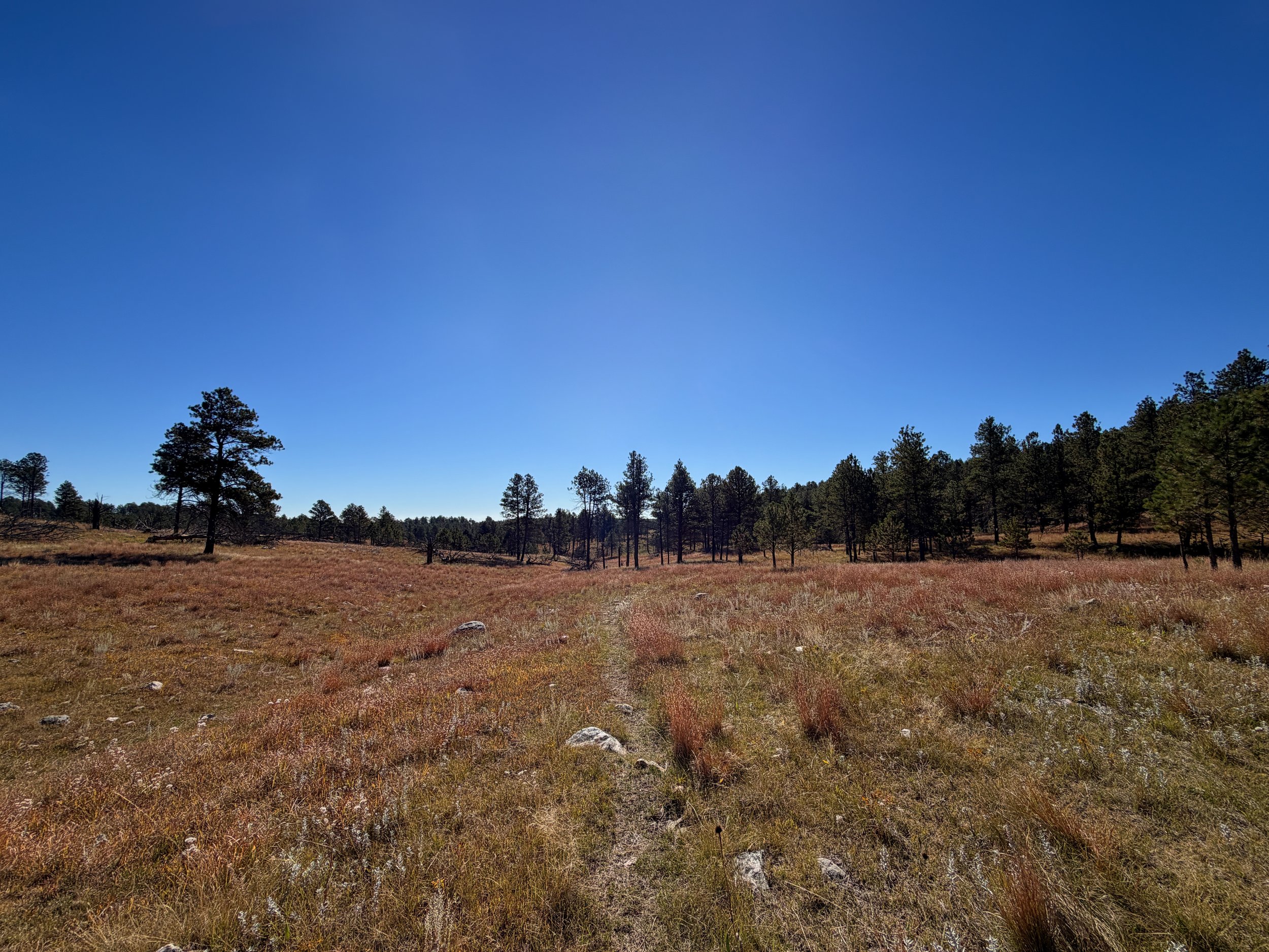 Sanctuary Trail Wind Cave National Park South Dakota