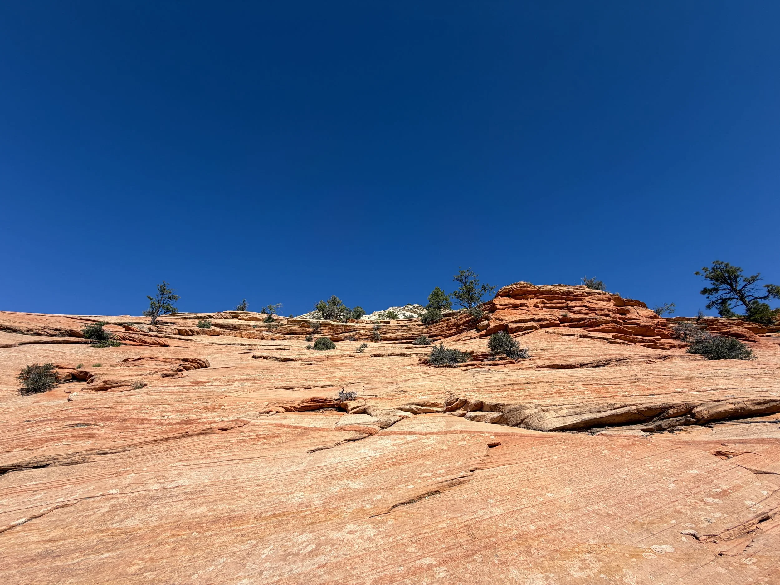South Ariel Peak Trail Zion National Park Utah