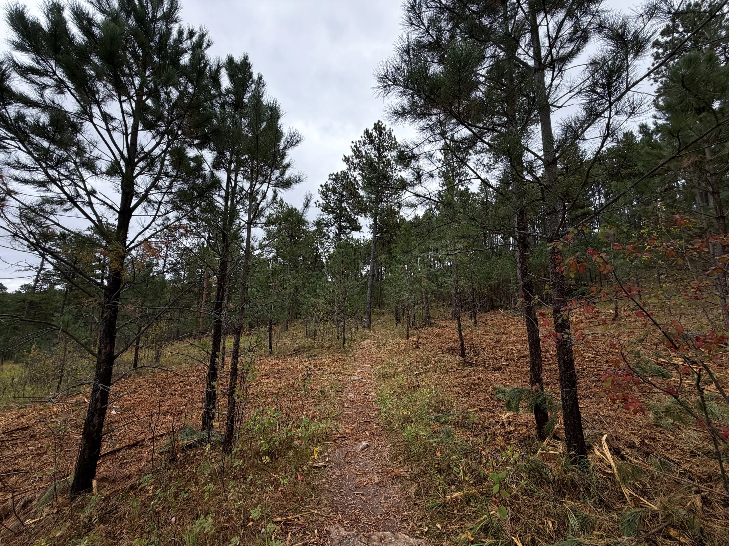 Buzzards Roost Hike Black Hills South Dakota