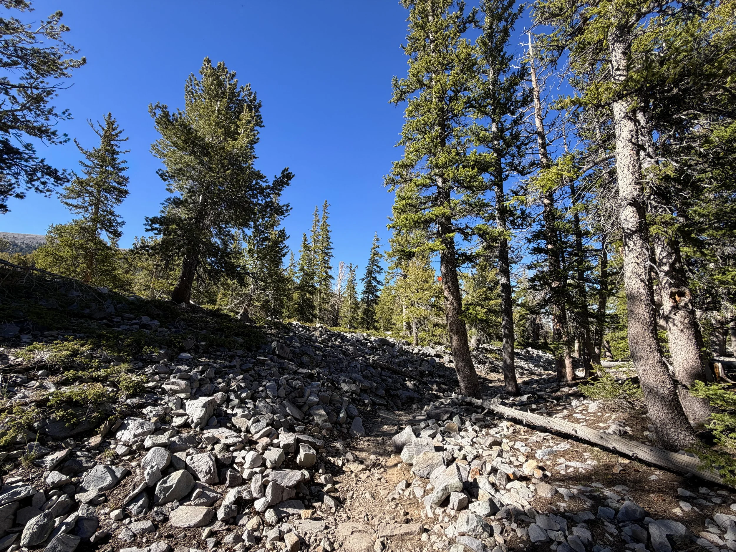 Alpine Lakes Loop Trail Great Basin National Park Nevada