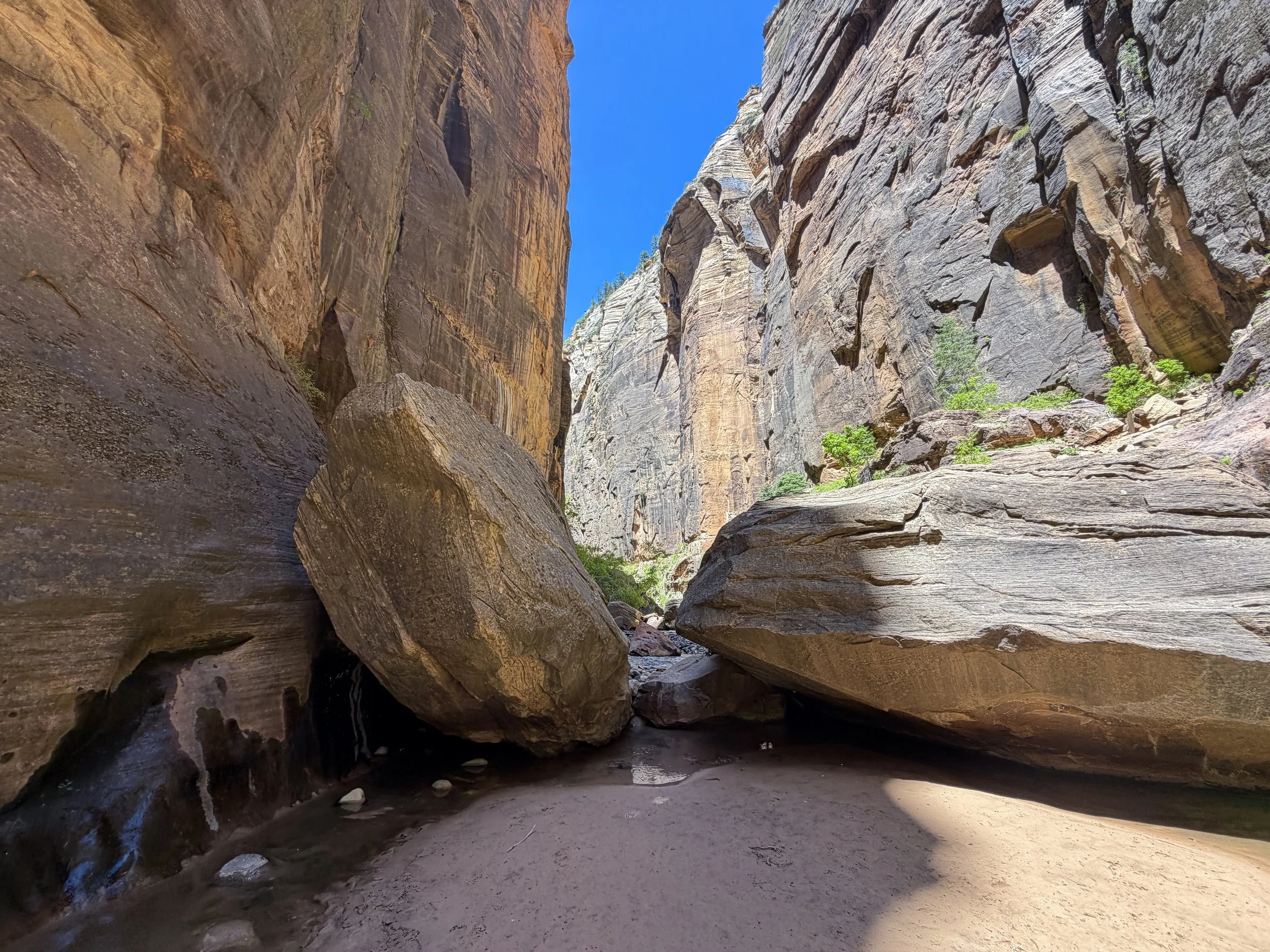 Narrows Bottom-Up to Big Springs Zion National Park Utah