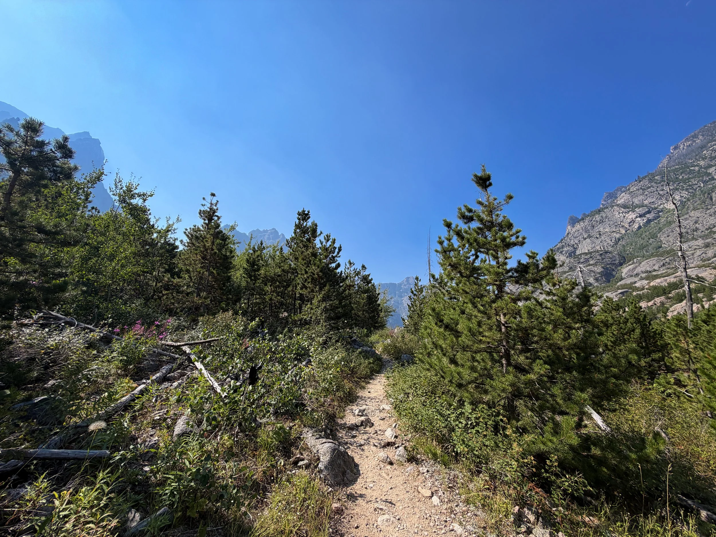 The Beaten Path Trail Beartooth Mountains Montana