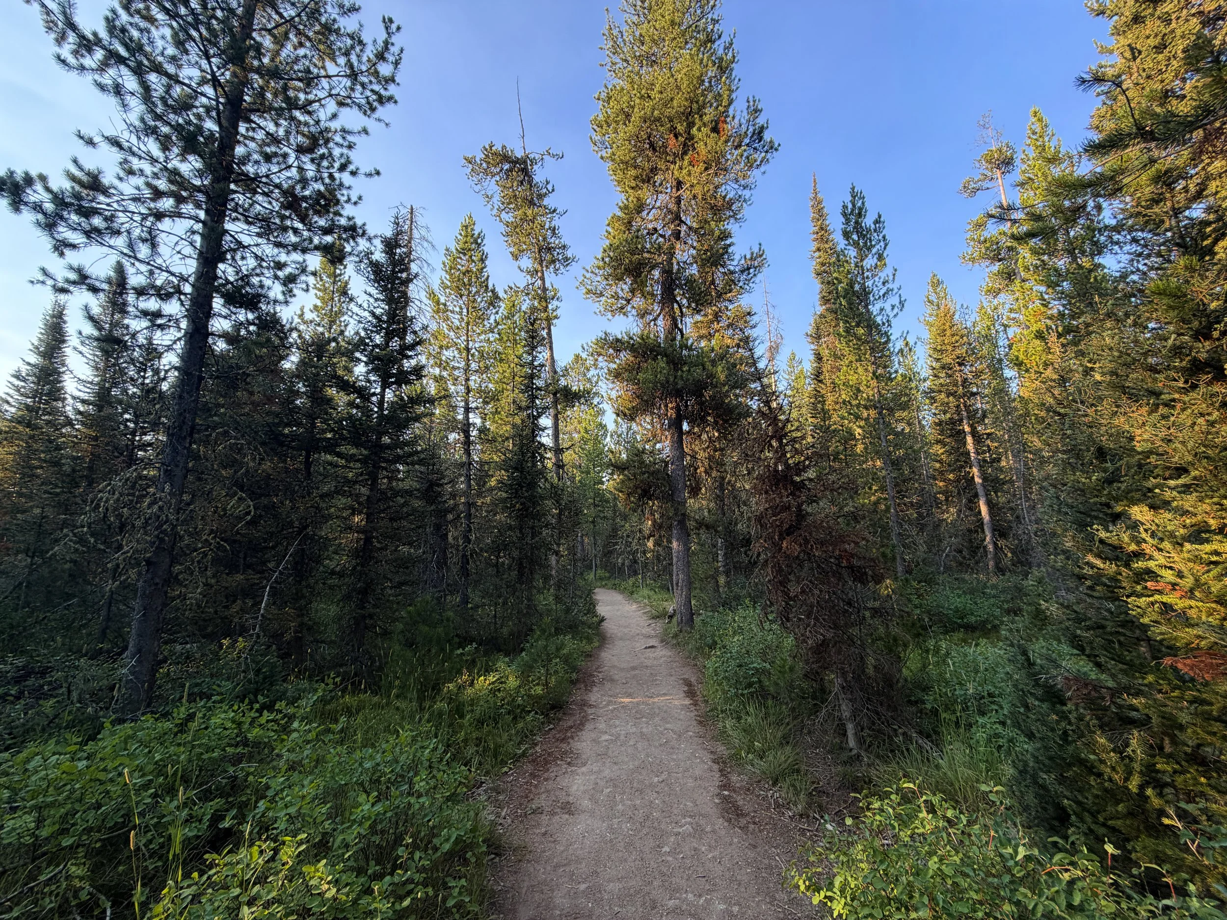 Delta Lake Trail Grand Teton National Park Wyoming