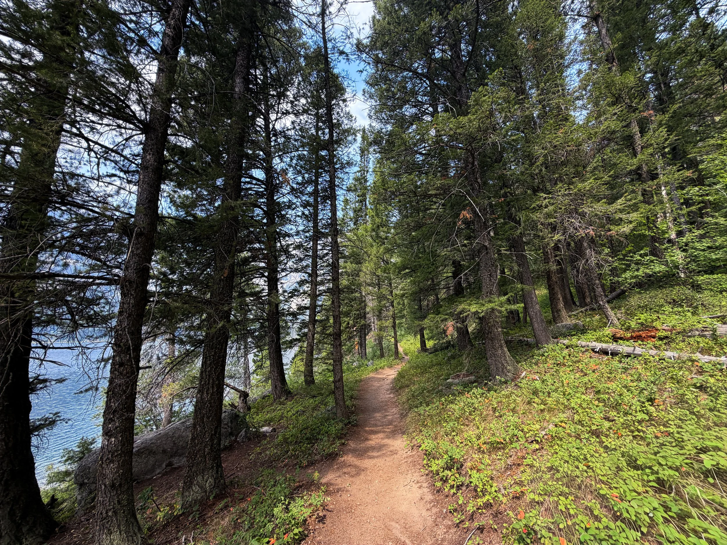 Phelps Lake Loop Trail Grand Teton National Park Wyoming