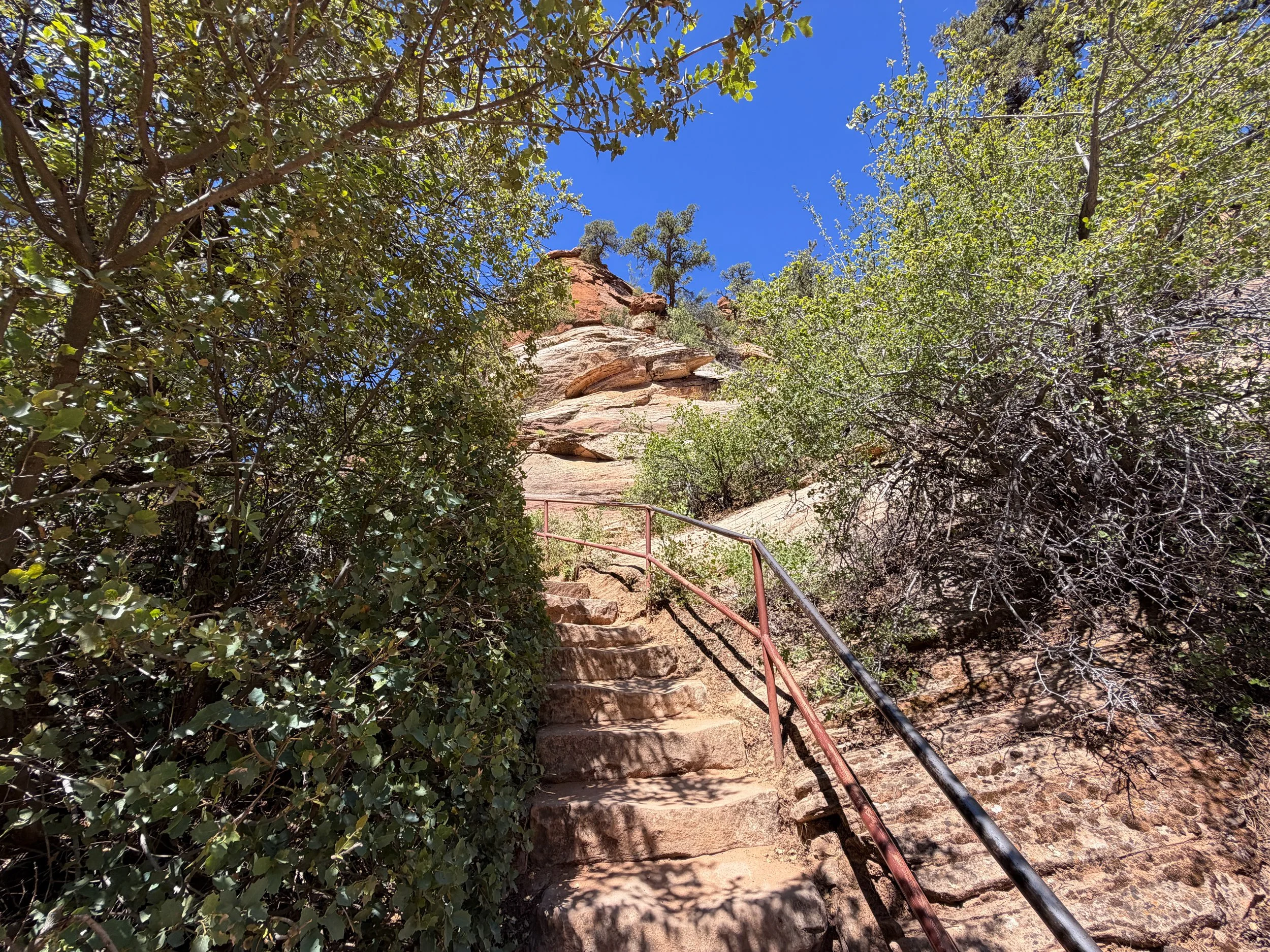Canyon Overlook Trail Zion National Park Utah