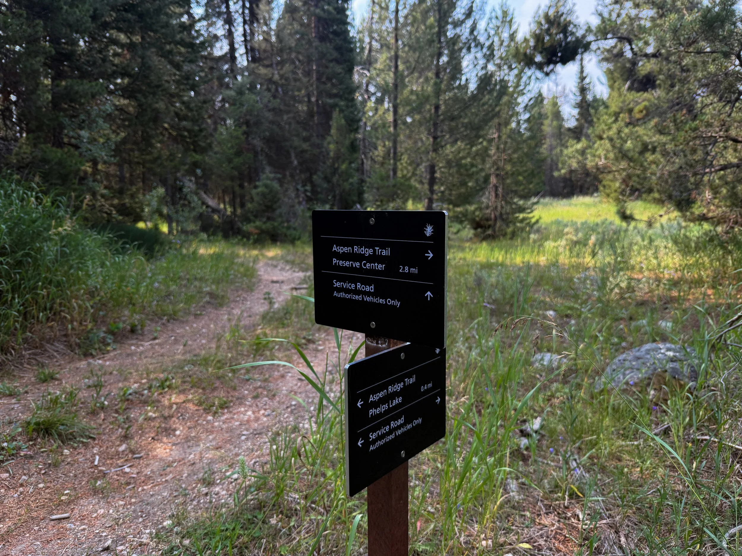 Aspen Ridge Trail Grand Teton National Park Wyoming