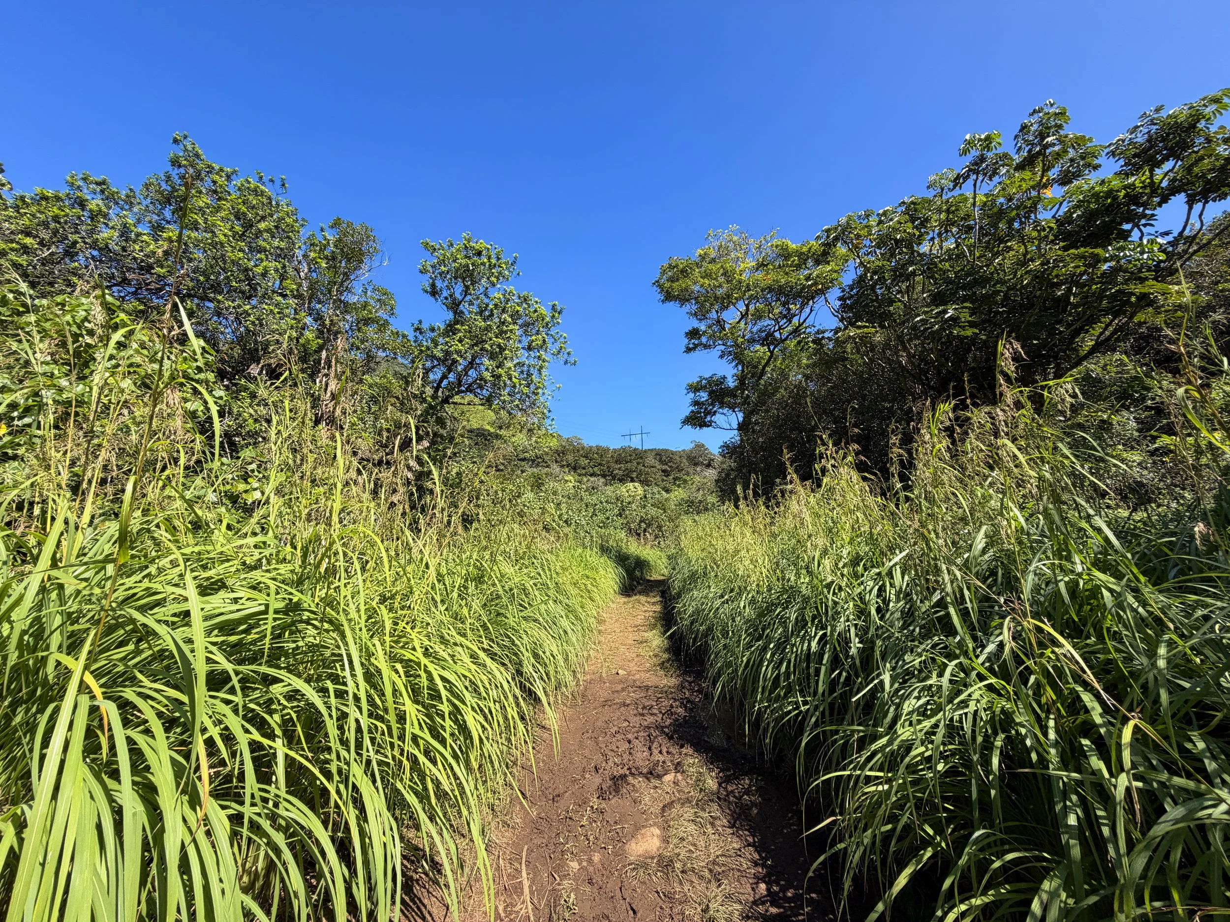 Kulanaahane Trail Oahu Hawaii