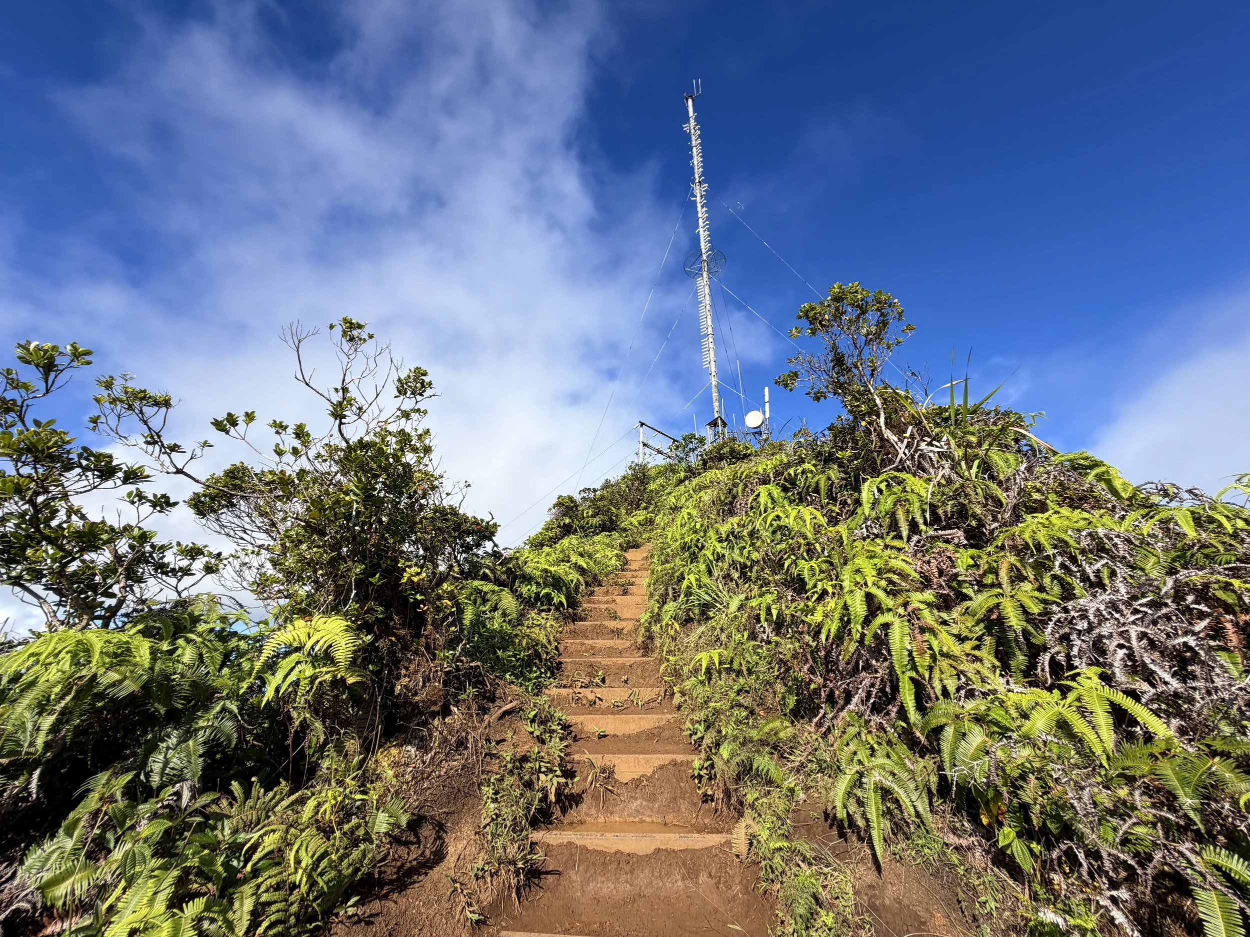 Wiliwilinui Ridge Trail Stairs Oahu Hawaii