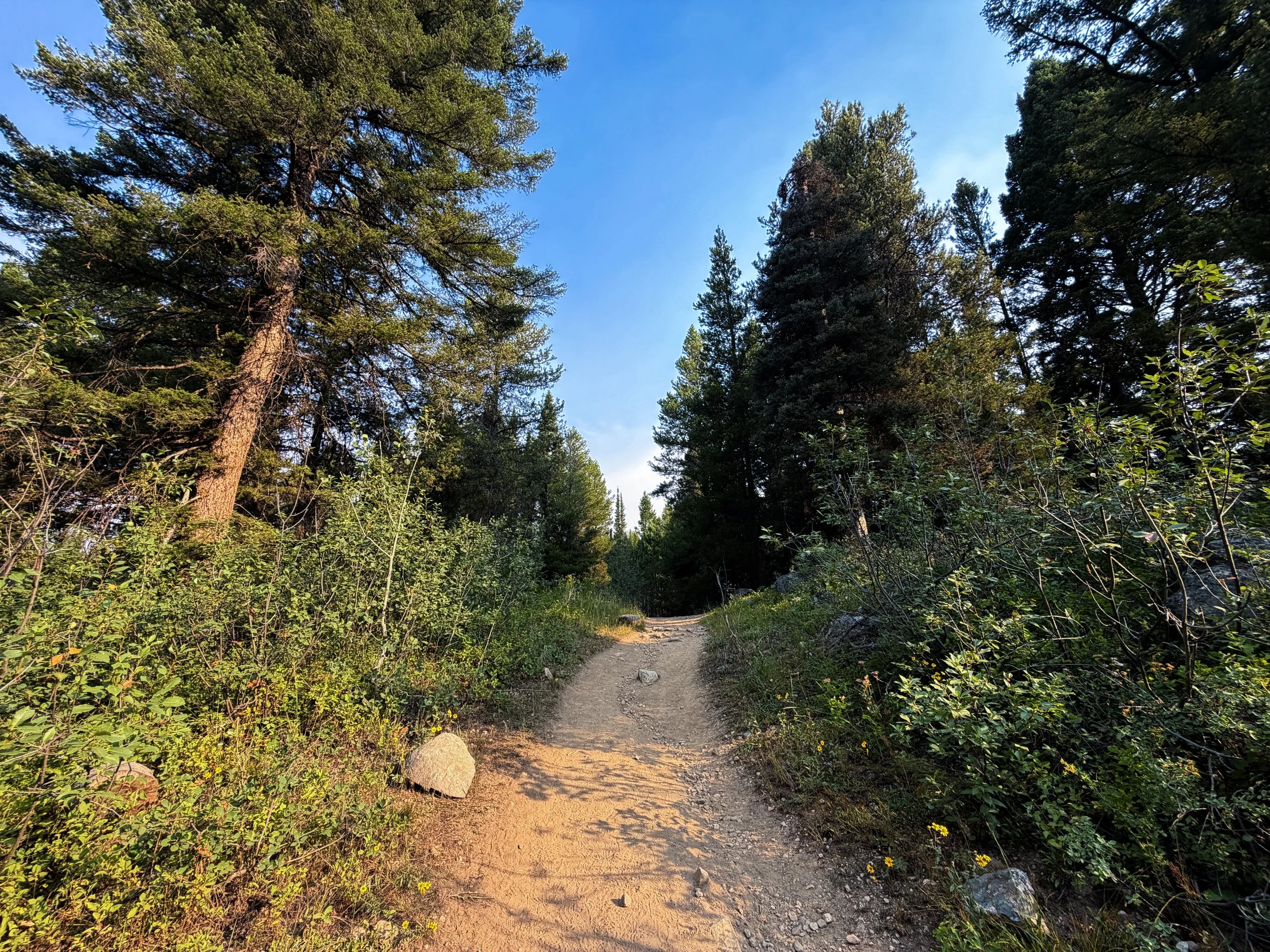 Boulder Ridge Loop Trail Grand Teton National Park Wyoming