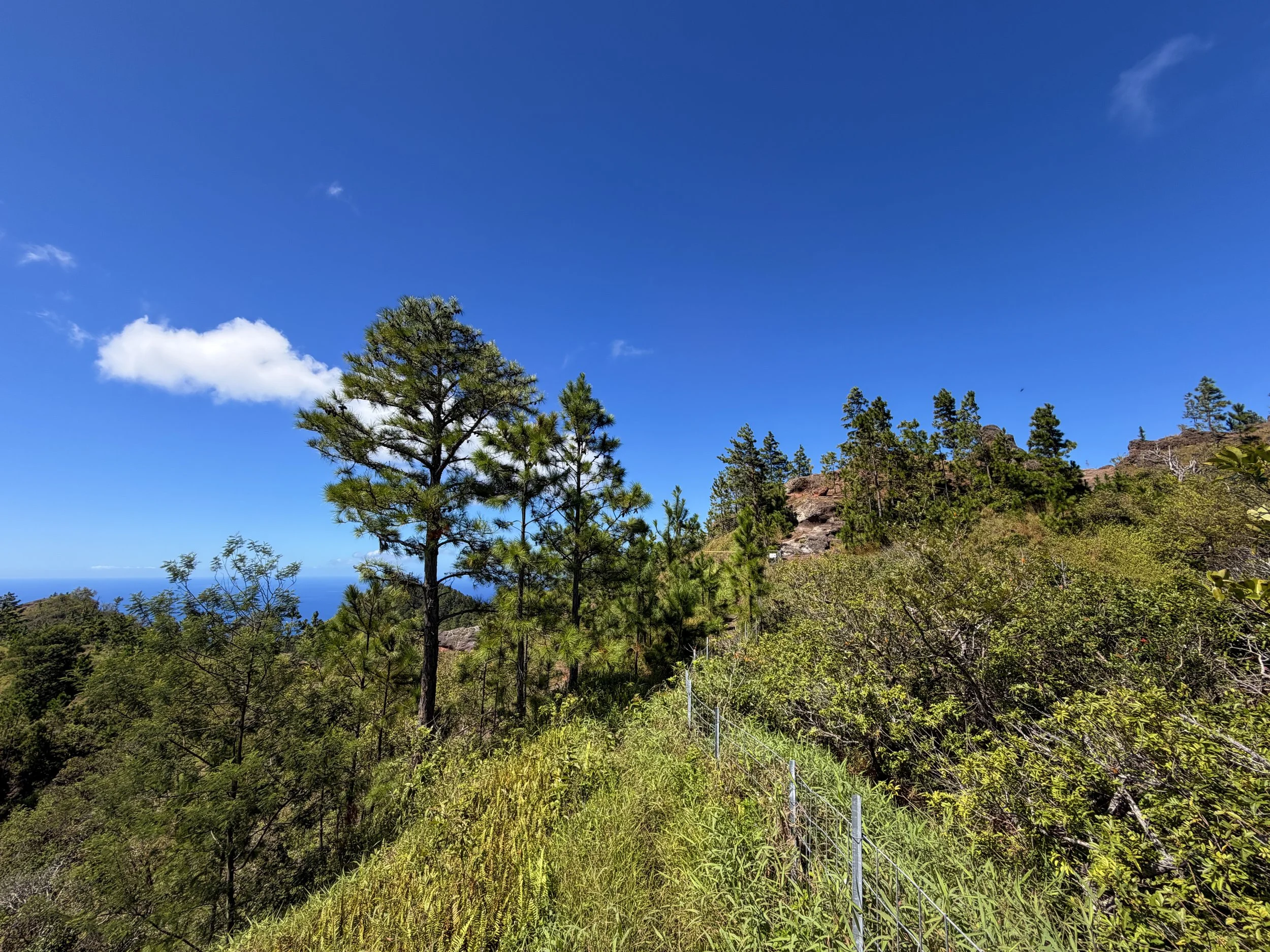 Kuaokala Hike Oahu Hawaii