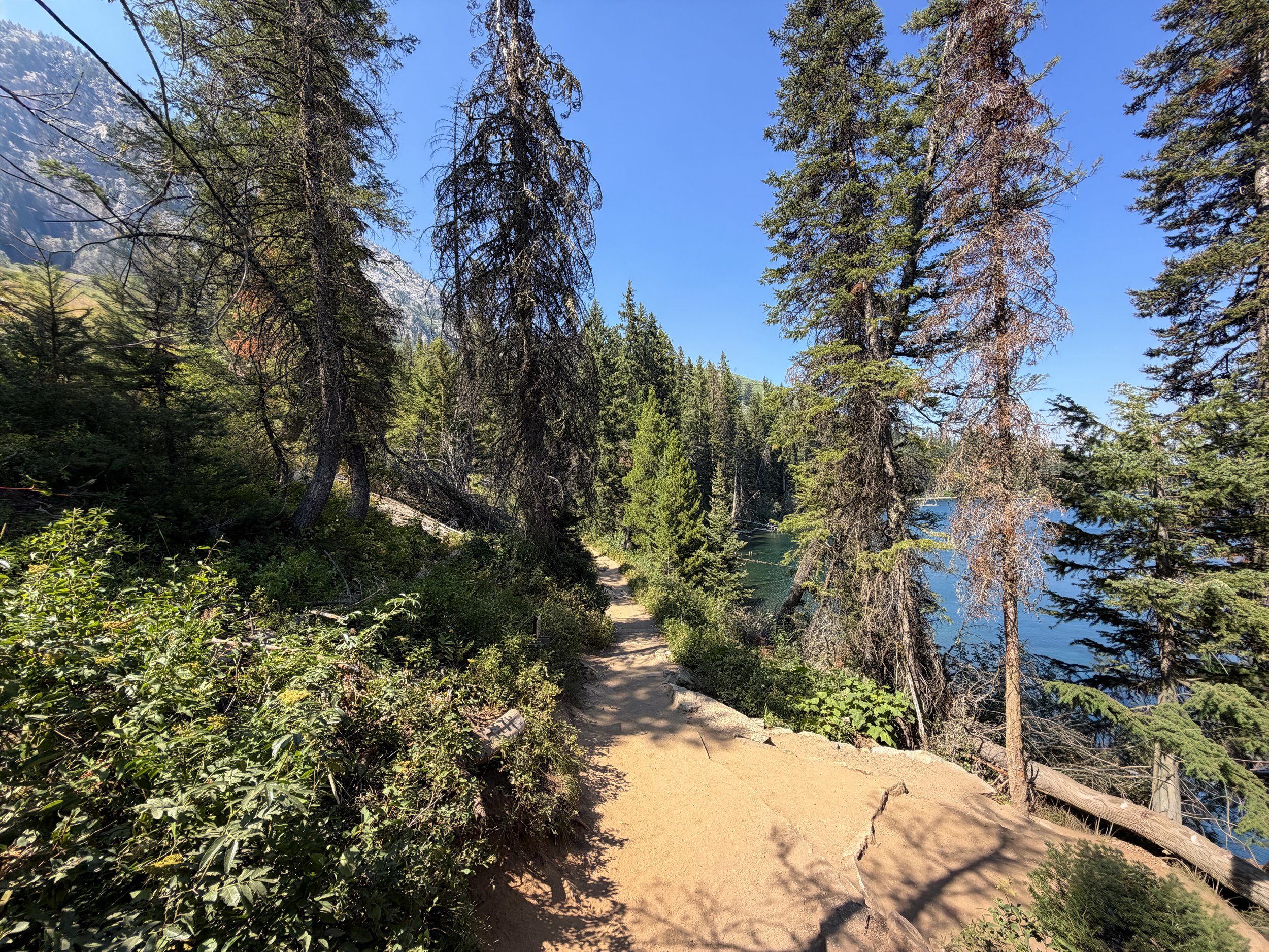 Jenny Lake Loop Trail Grand Teton National Park Wyoming