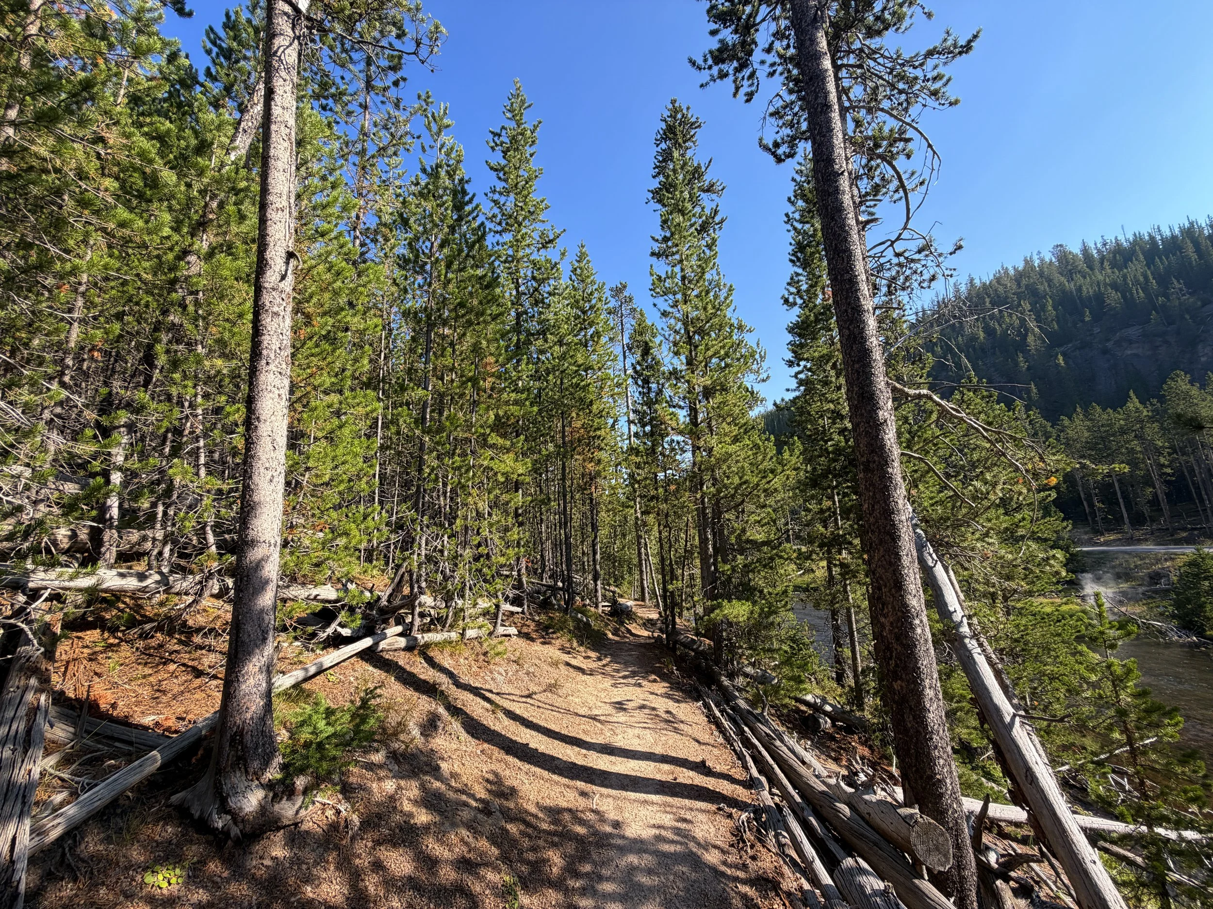 Monument Geyser Basin Trail Yellowstone National Park Wyoming