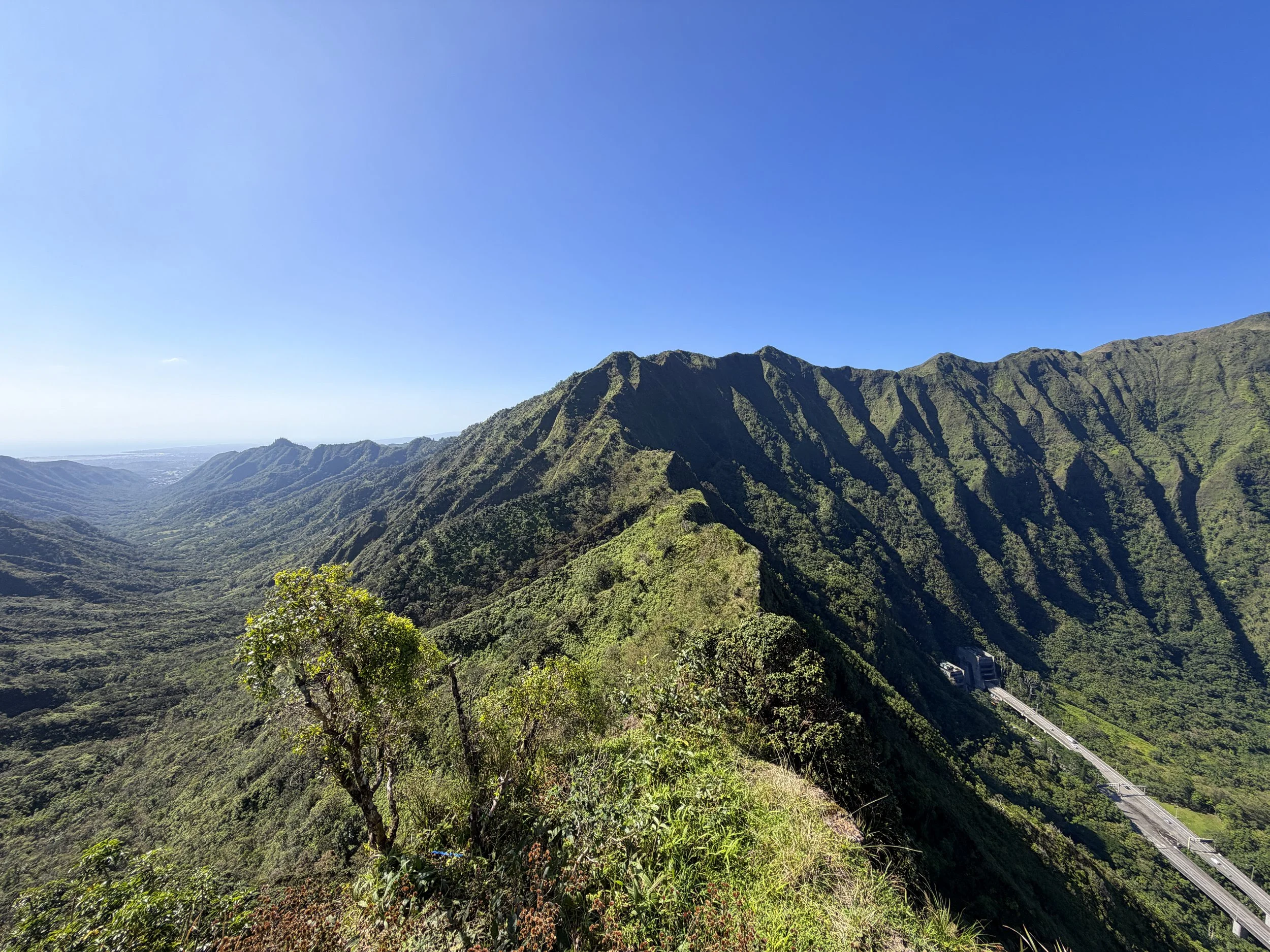Moanalua Saddle Ropes Koolau Summit Trail Oahu Hawaii