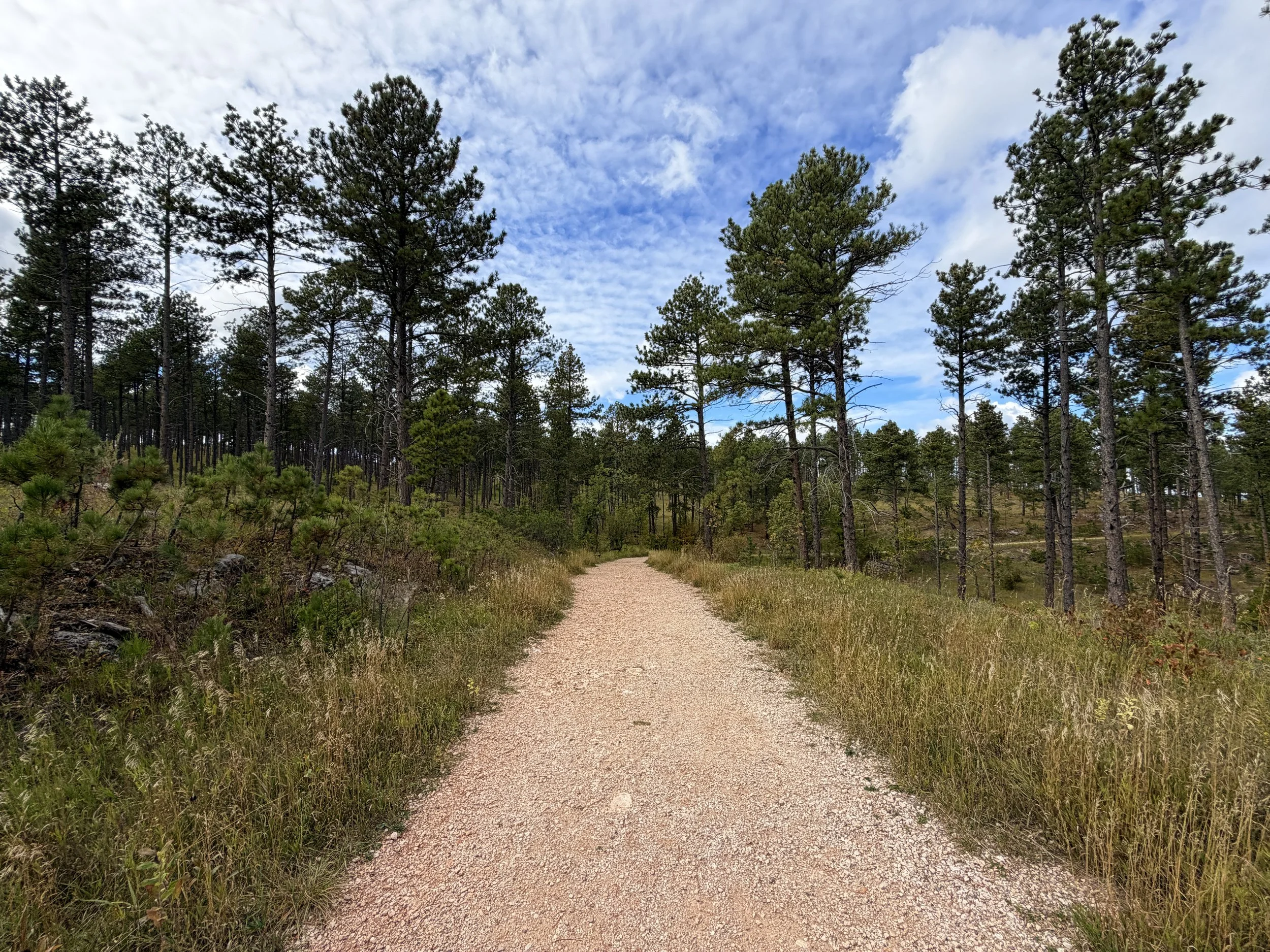 Stratobowl Rim Trail Black Hills South Dakota