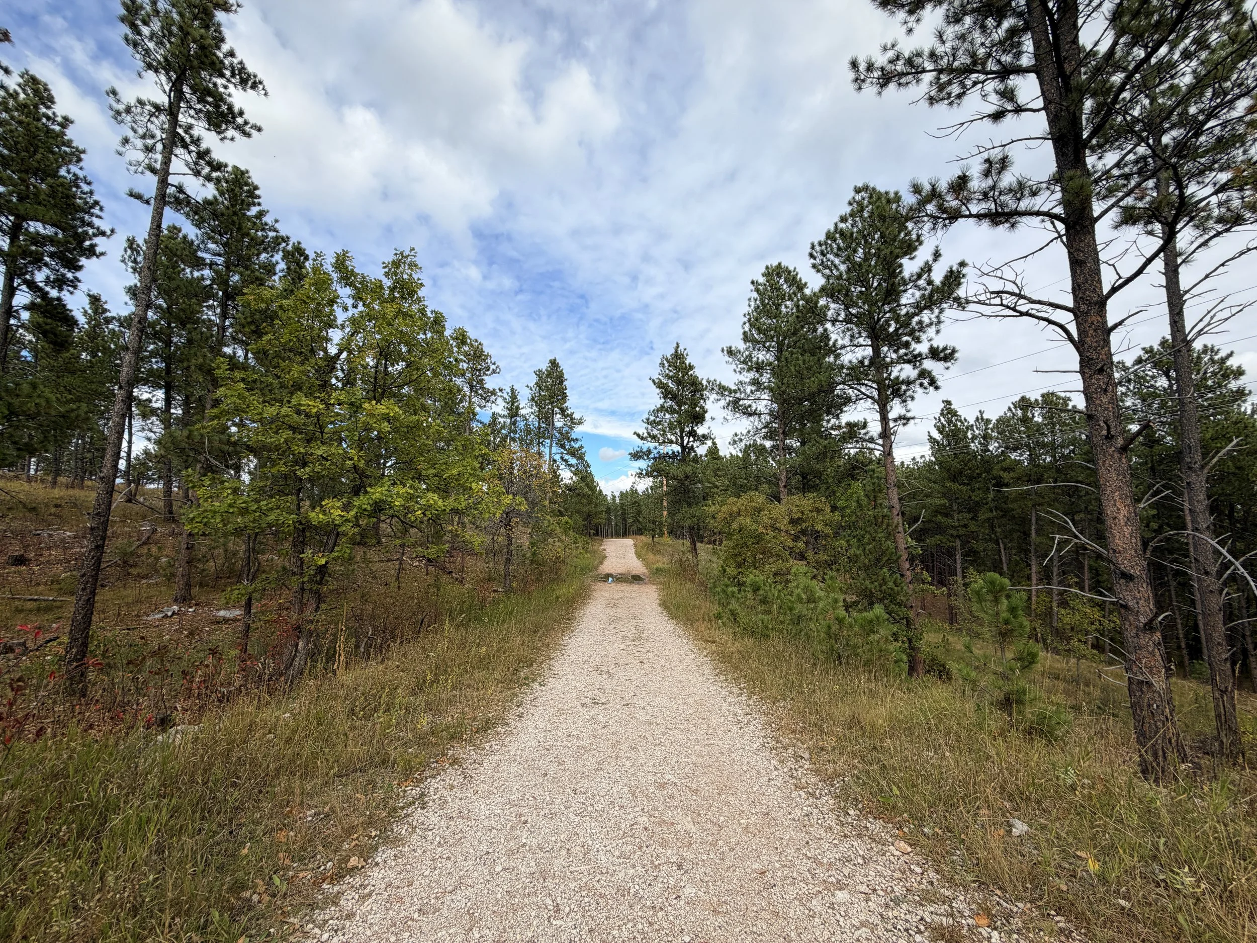 Stratobowl Rim Trail Black Hills South Dakota