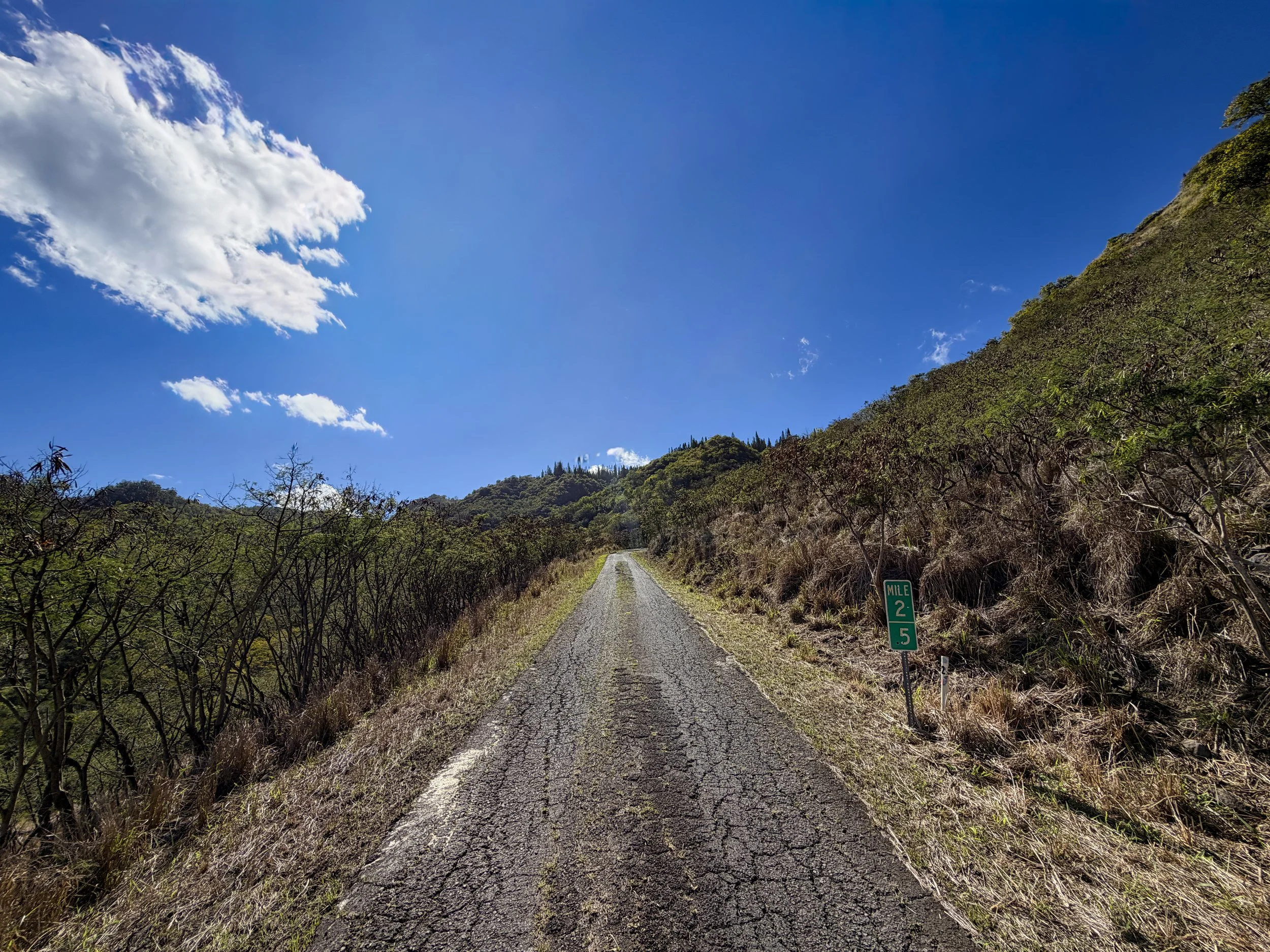 Mokuleia Forest Reserve Access Road Oahu Hawaii
