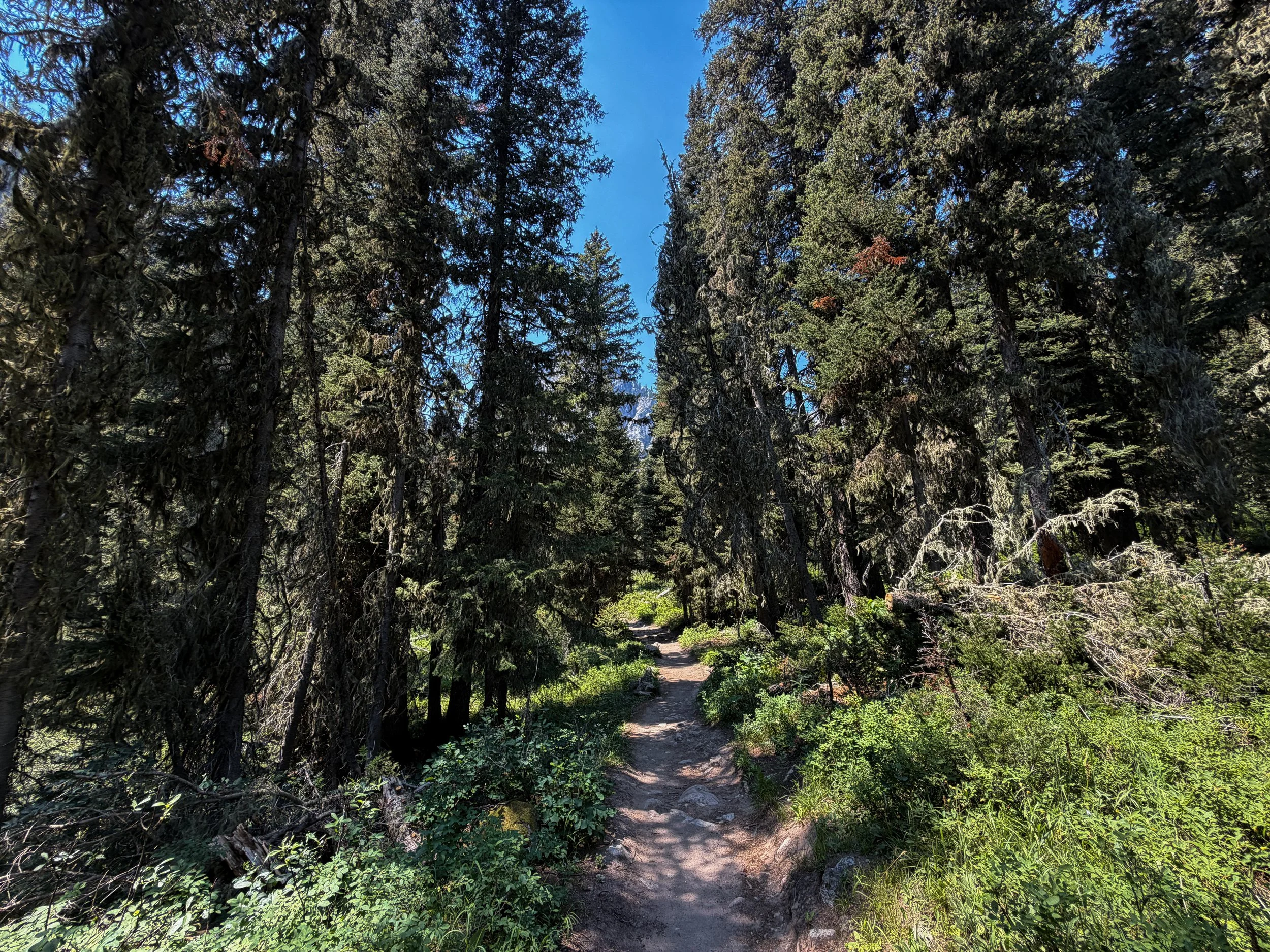 Cascade Canyon Trail Grand Teton National Park Wyoming