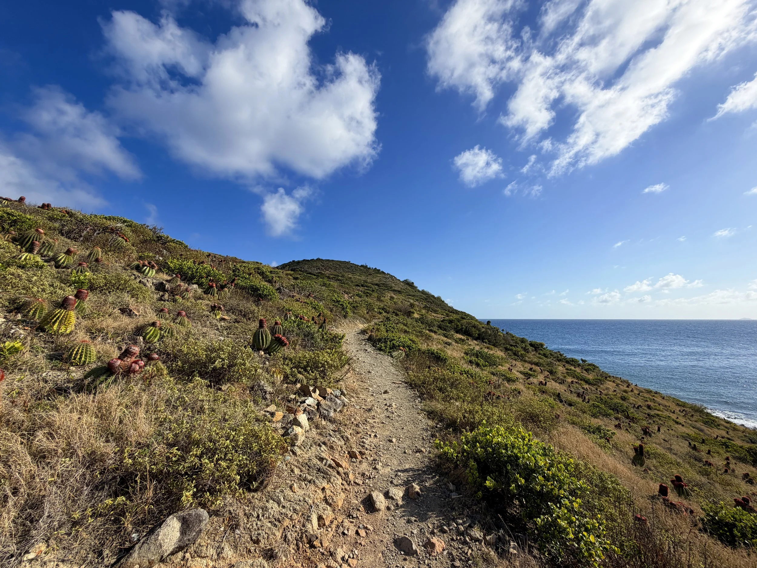 Ram Head Trail Virgin Islands National Park
