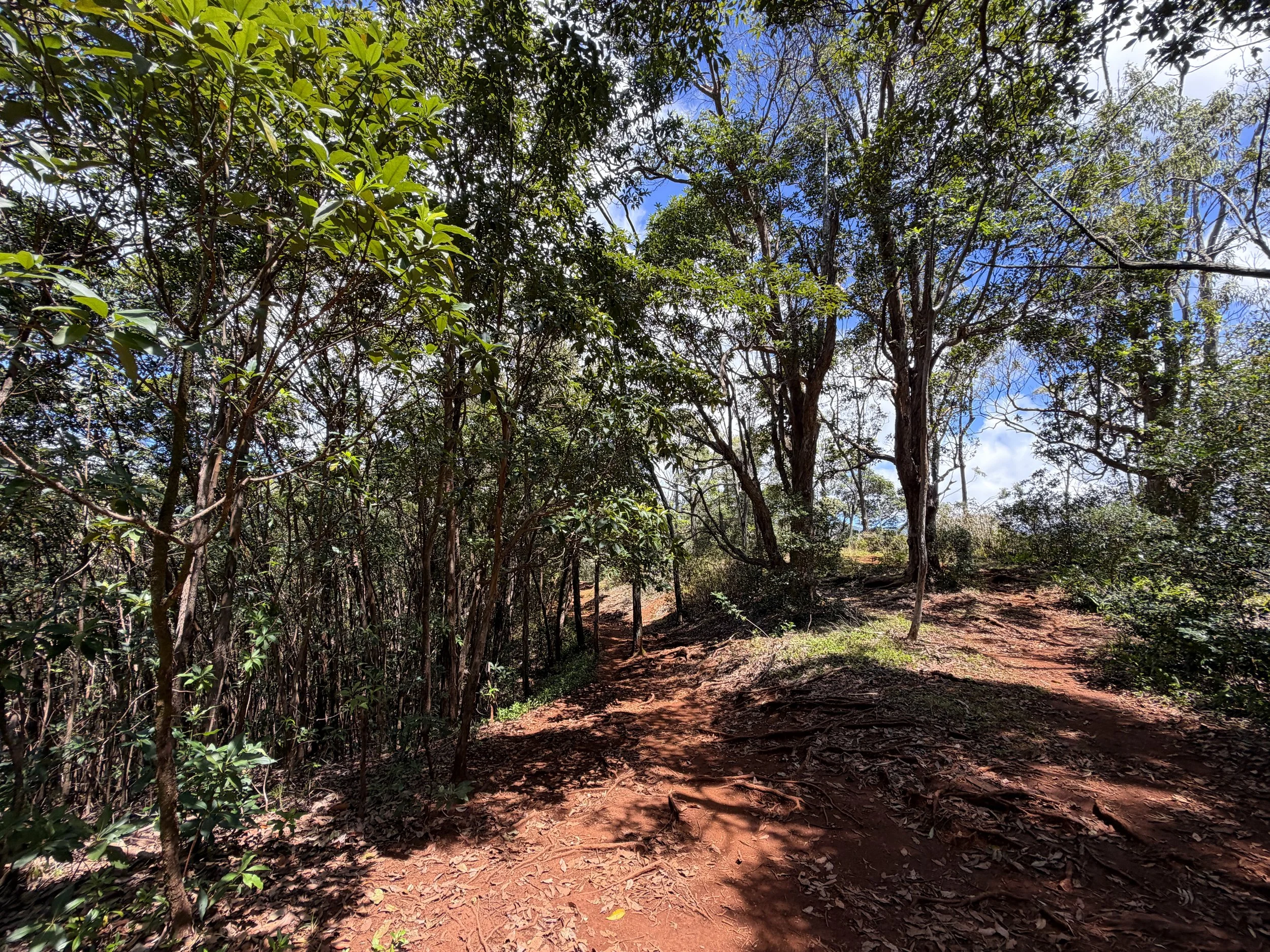 Manana Ridge Trail to Waimano Falls Oahu Hawaii