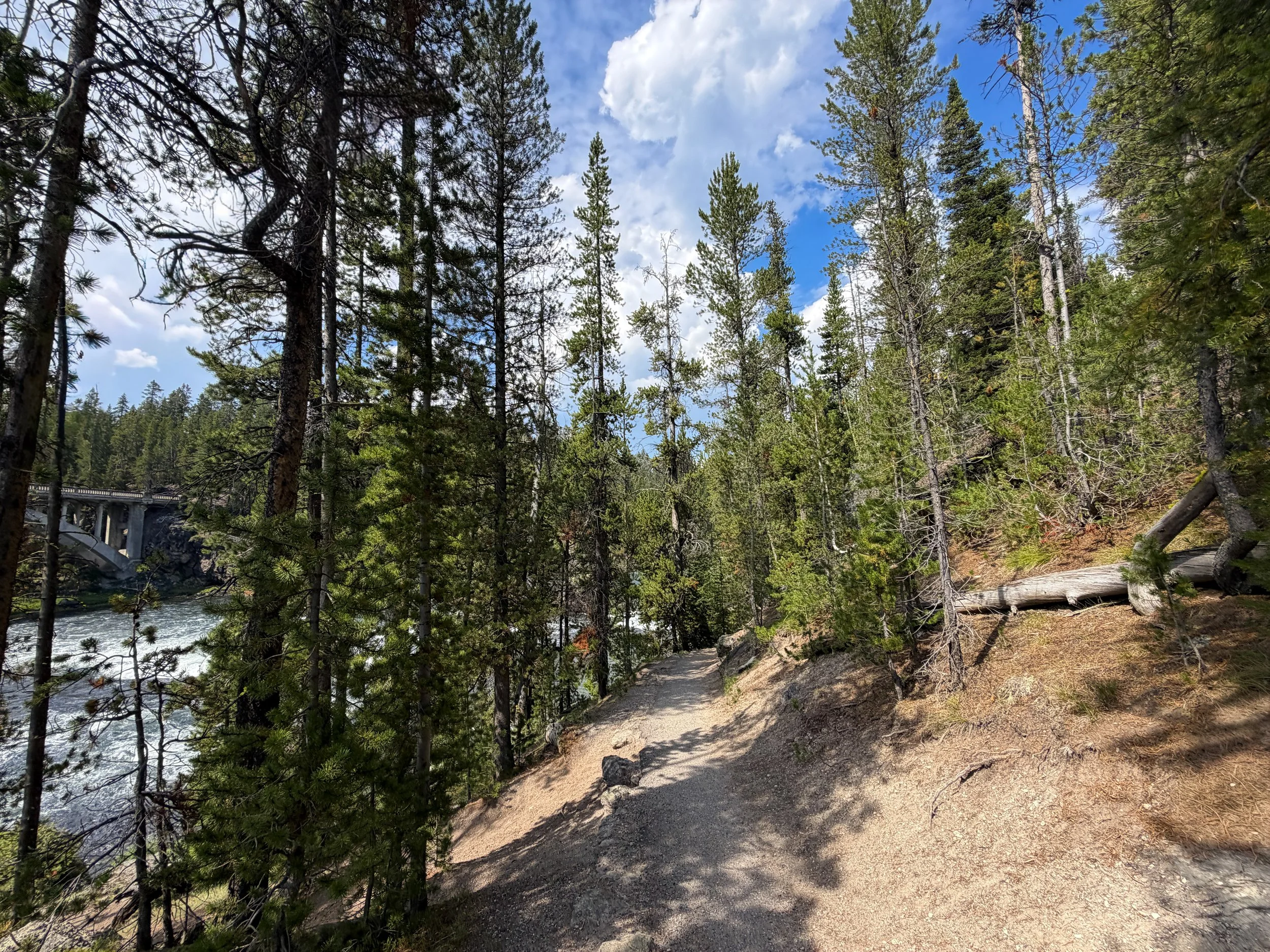 South Rim Trail Yellowstone National Park Wyoming