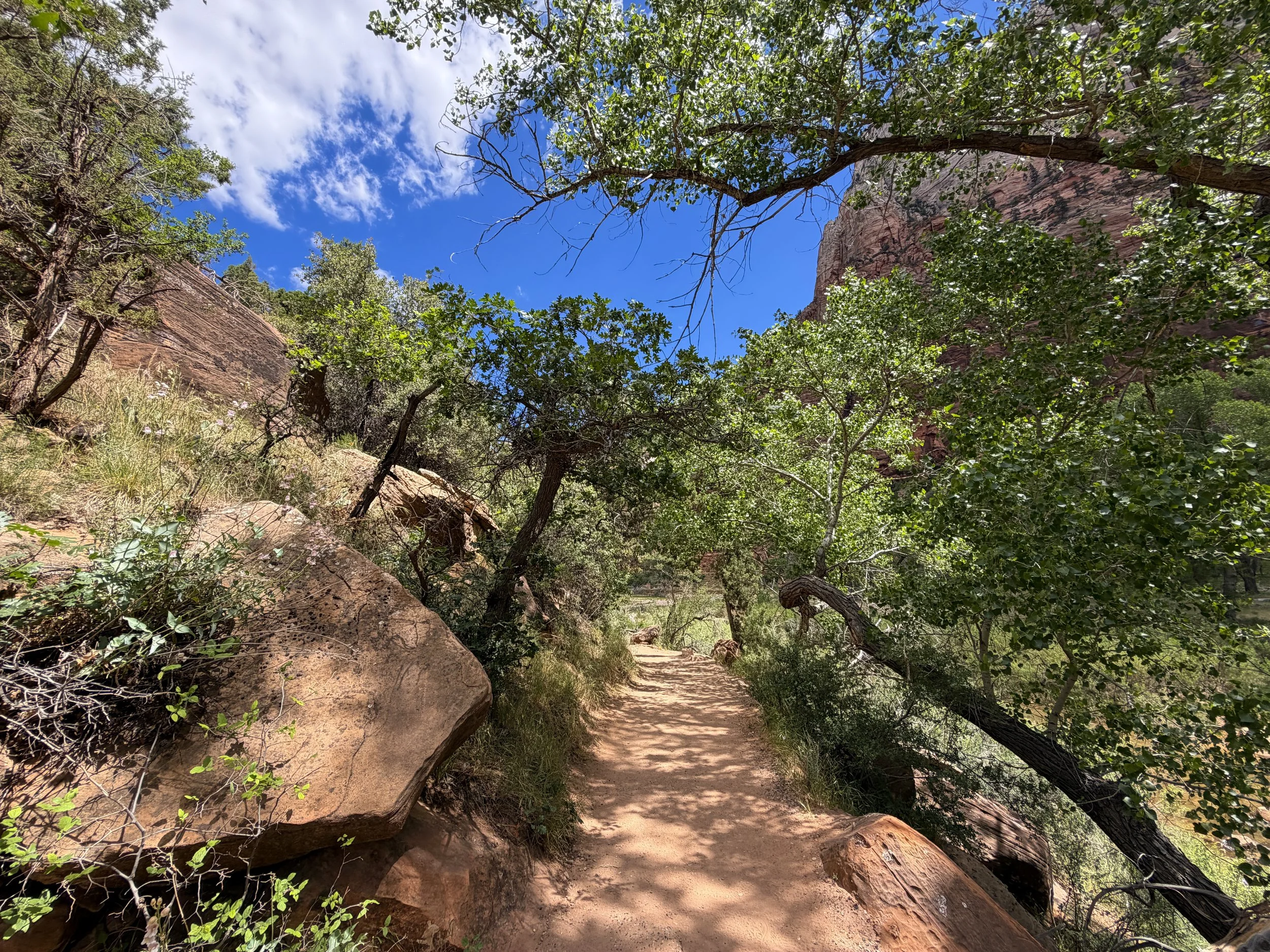 Angels Landing Trail Zion National Park Utah