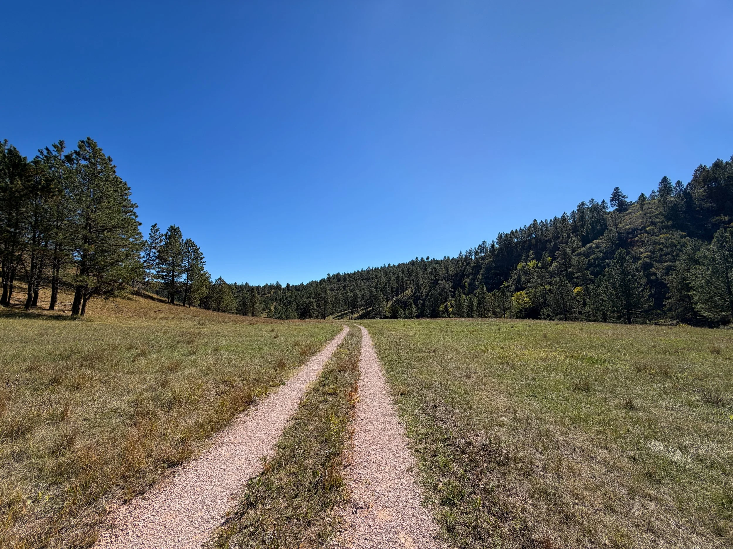 Wind Cave Canyon Trail Wind Cave National Park South Dakota