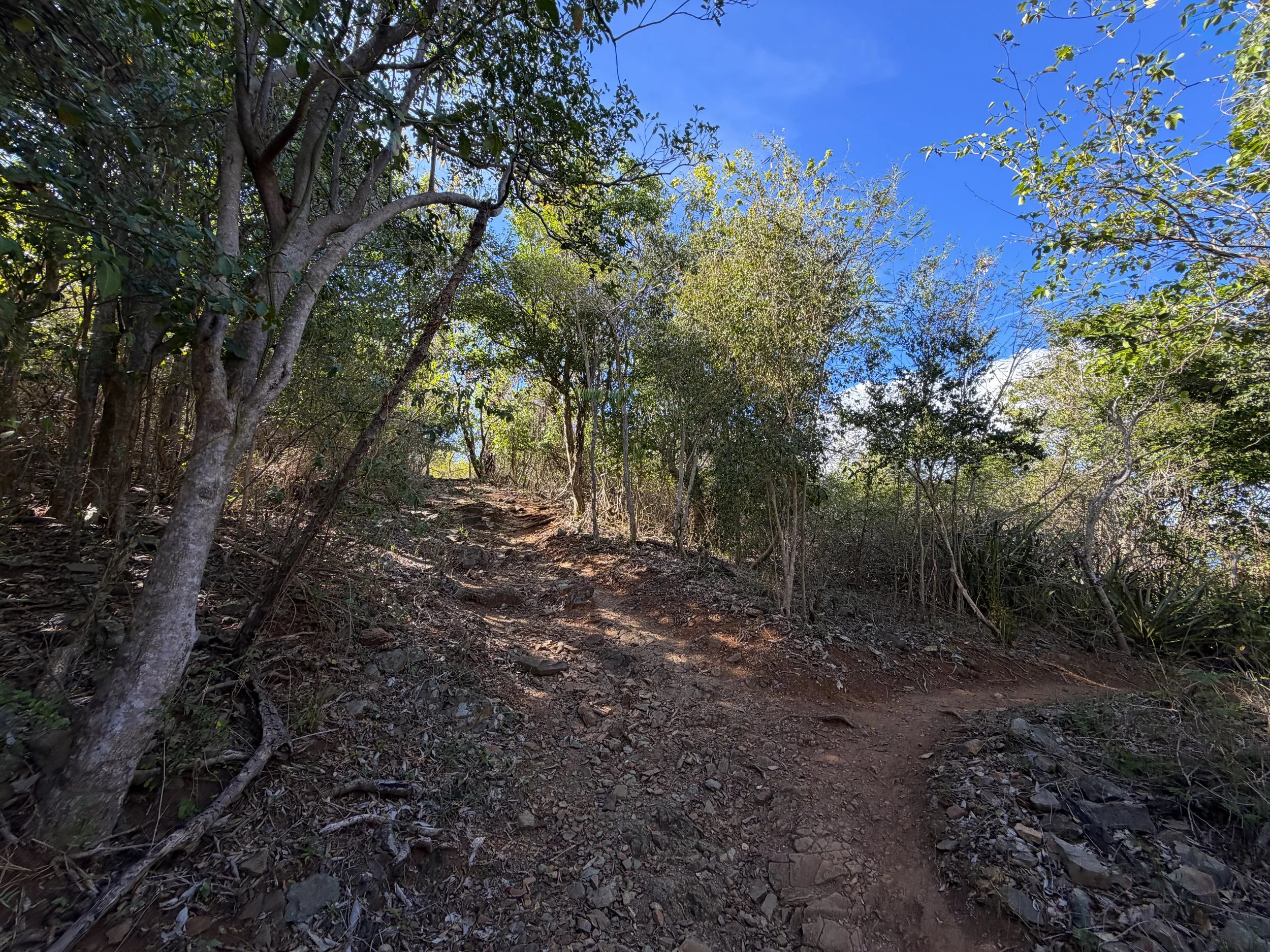 Peace Hill Trail Virgin Islands National Park
