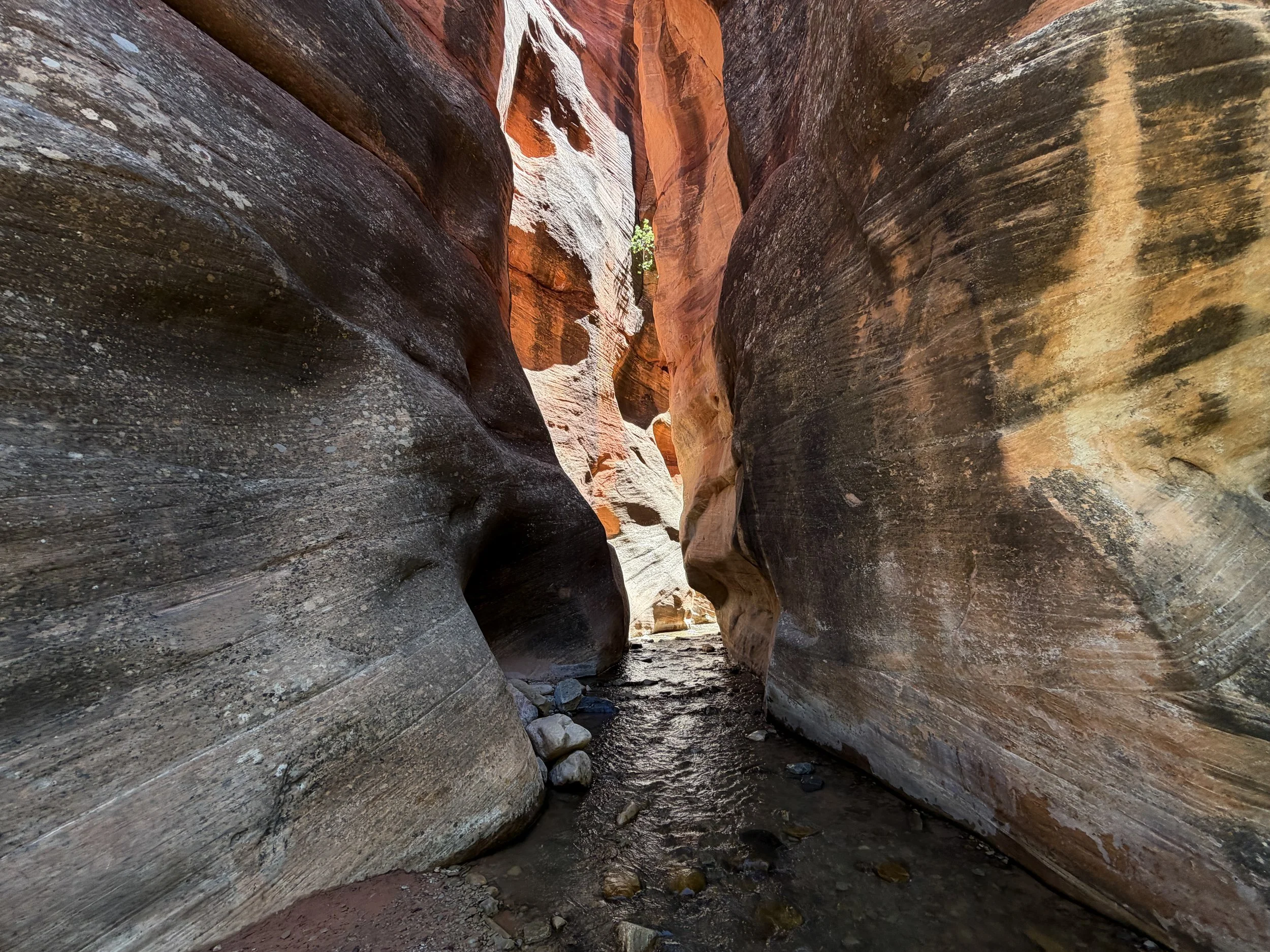 Kanarra Falls Trail Narrows Kanarraville Utah
