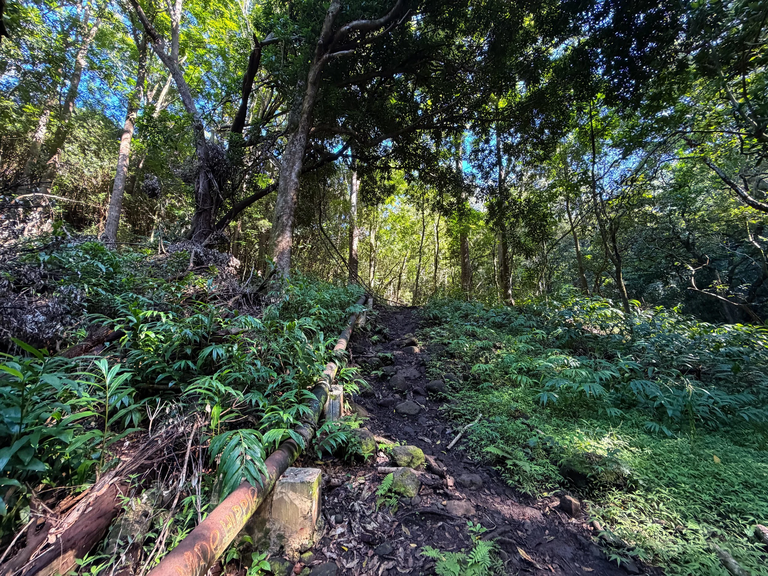Kaau Crater Trail Oahu Hawaii