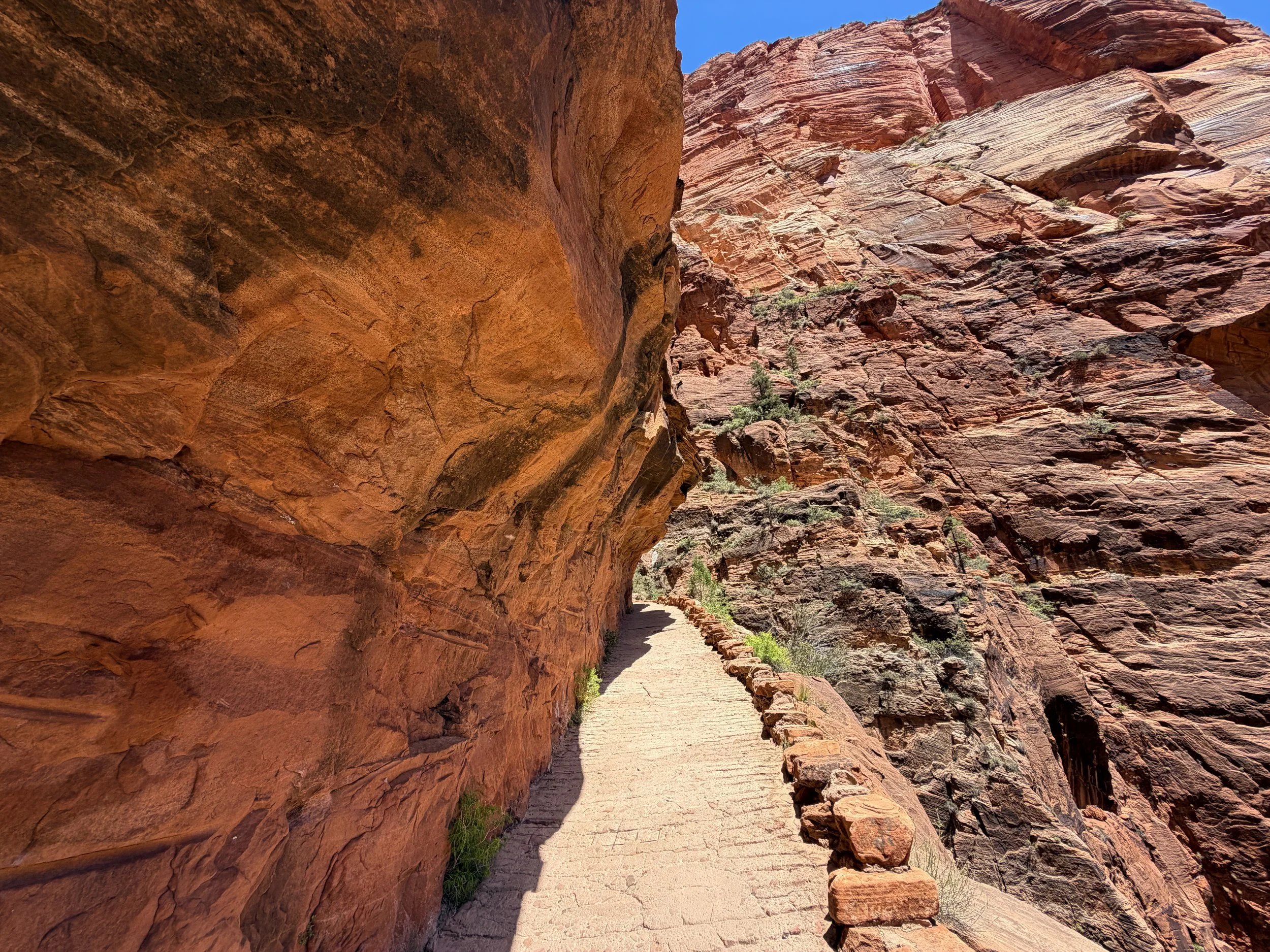 Angels Landing Trail Zion National Park Utah