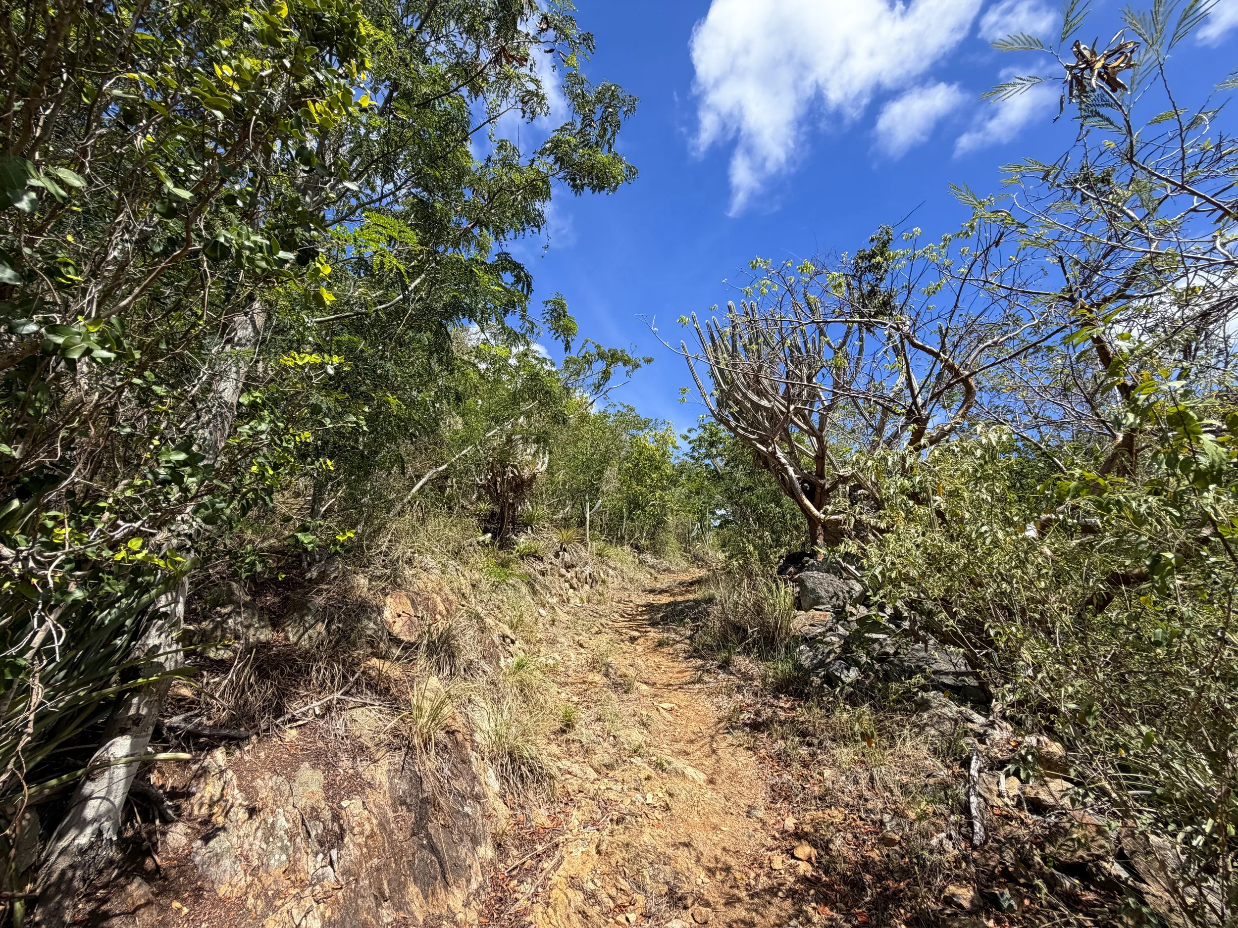 Lameshur Bay Trail Virgin Islands National Park