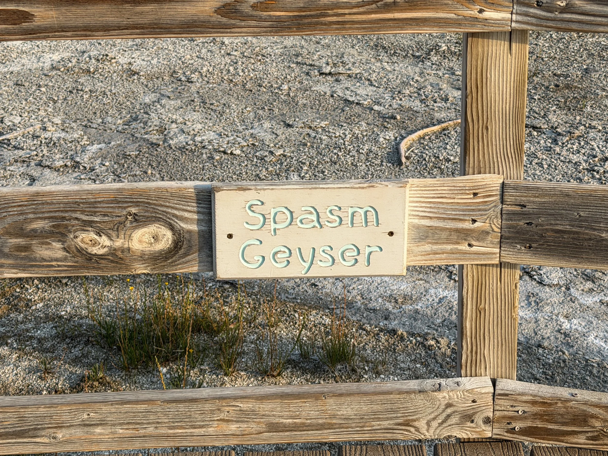 Spasm Geyser Fountain Paint Pot Trail Yellowstone National Park Wyoming
