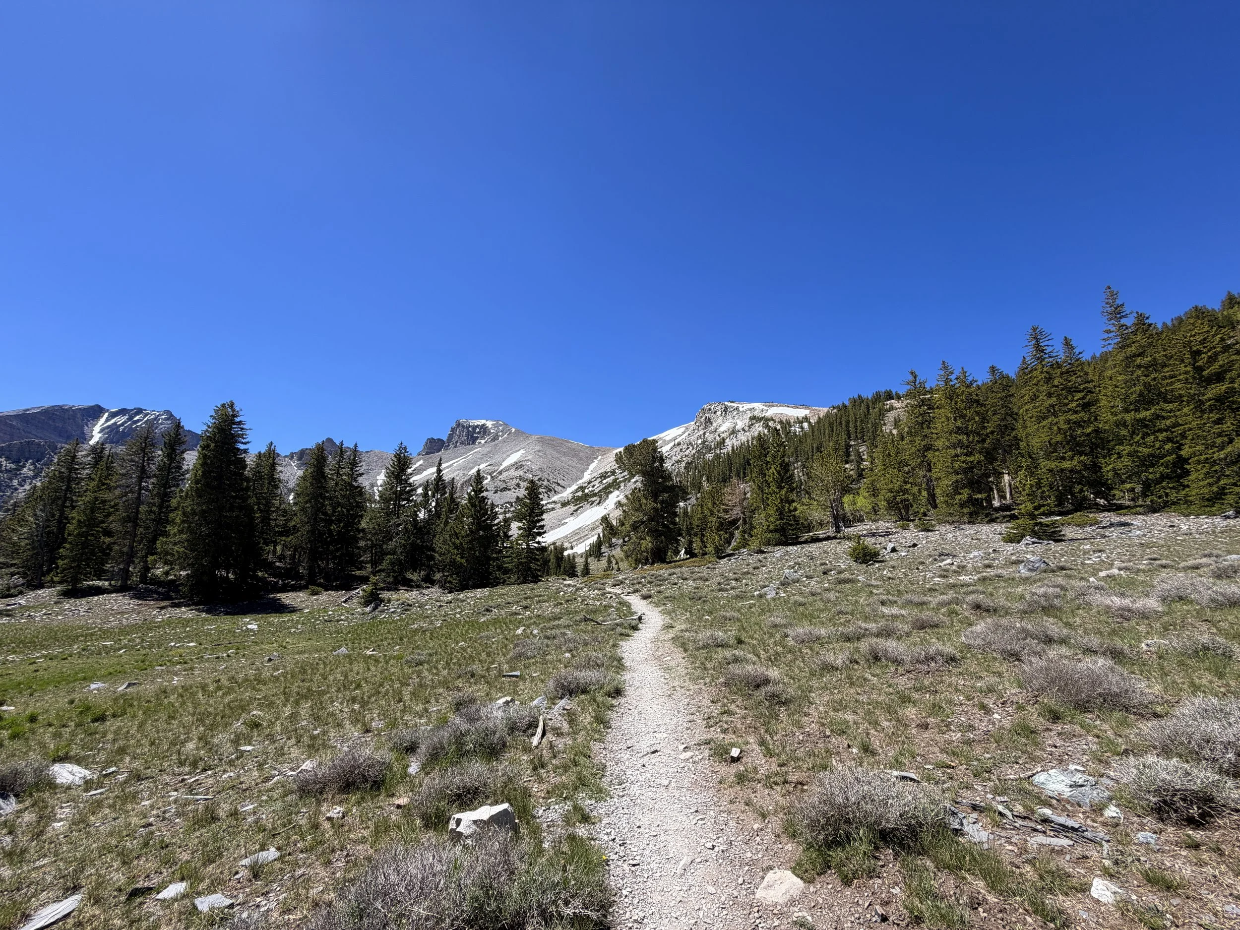 Alpine Lakes Trail Great Basin National Park Nevada